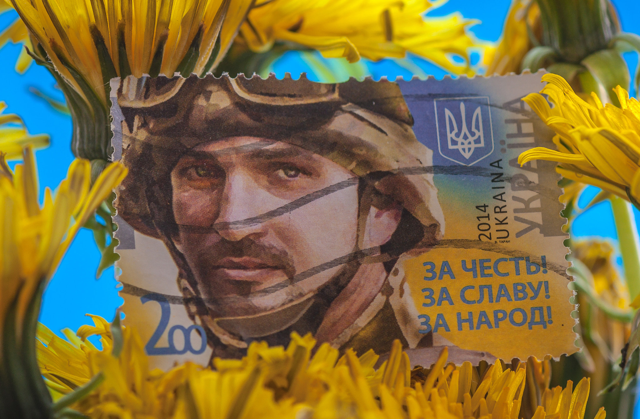 Ukrainian soldier is dedicated