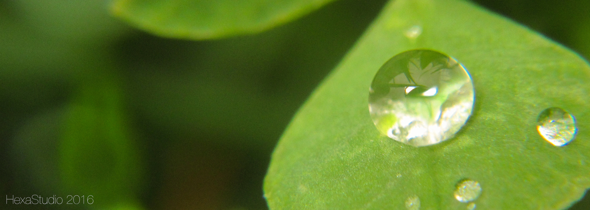 Canon PowerShot ELPH 340 HS (IXUS 265 HS / IXY 630) sample photo. Kvapka photography