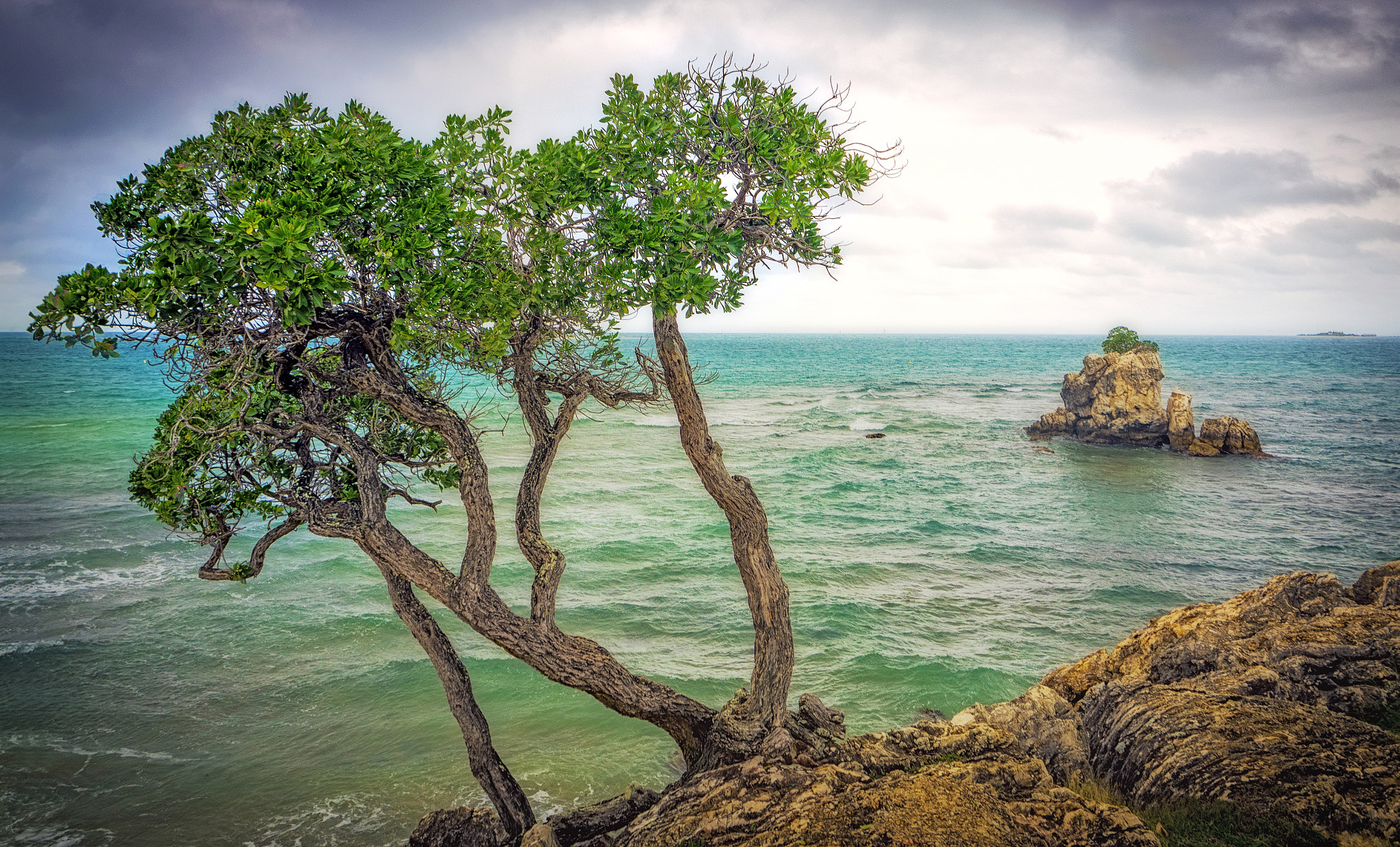 Olympus OM-D E-M1 + OLYMPUS M.12-50mm F3.5-6.3 sample photo. Ansee vata coastal photography