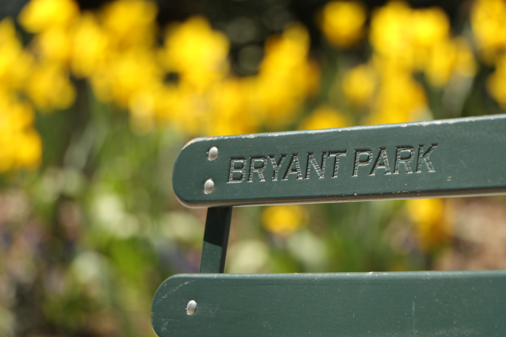 Canon EF-S 18-135mm F3.5-5.6 IS USM sample photo. Urban spring, nyc photography