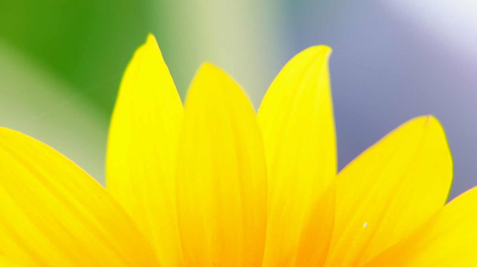Sony DT 18-200mm F3.5-6.3 sample photo