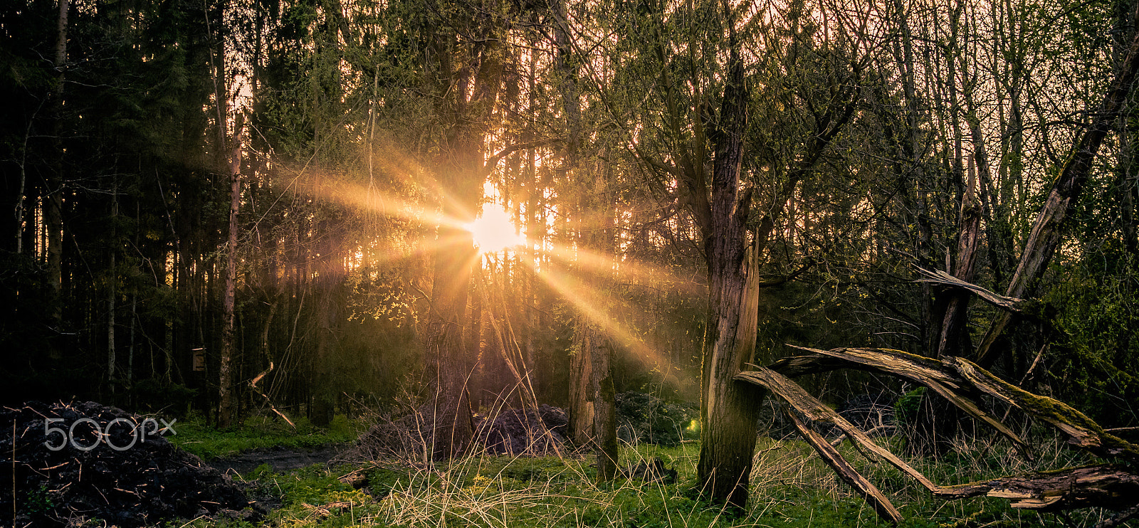 Panasonic Lumix DMC-G7 + Sigma 19mm F2.8 DN Art sample photo. Rays photography