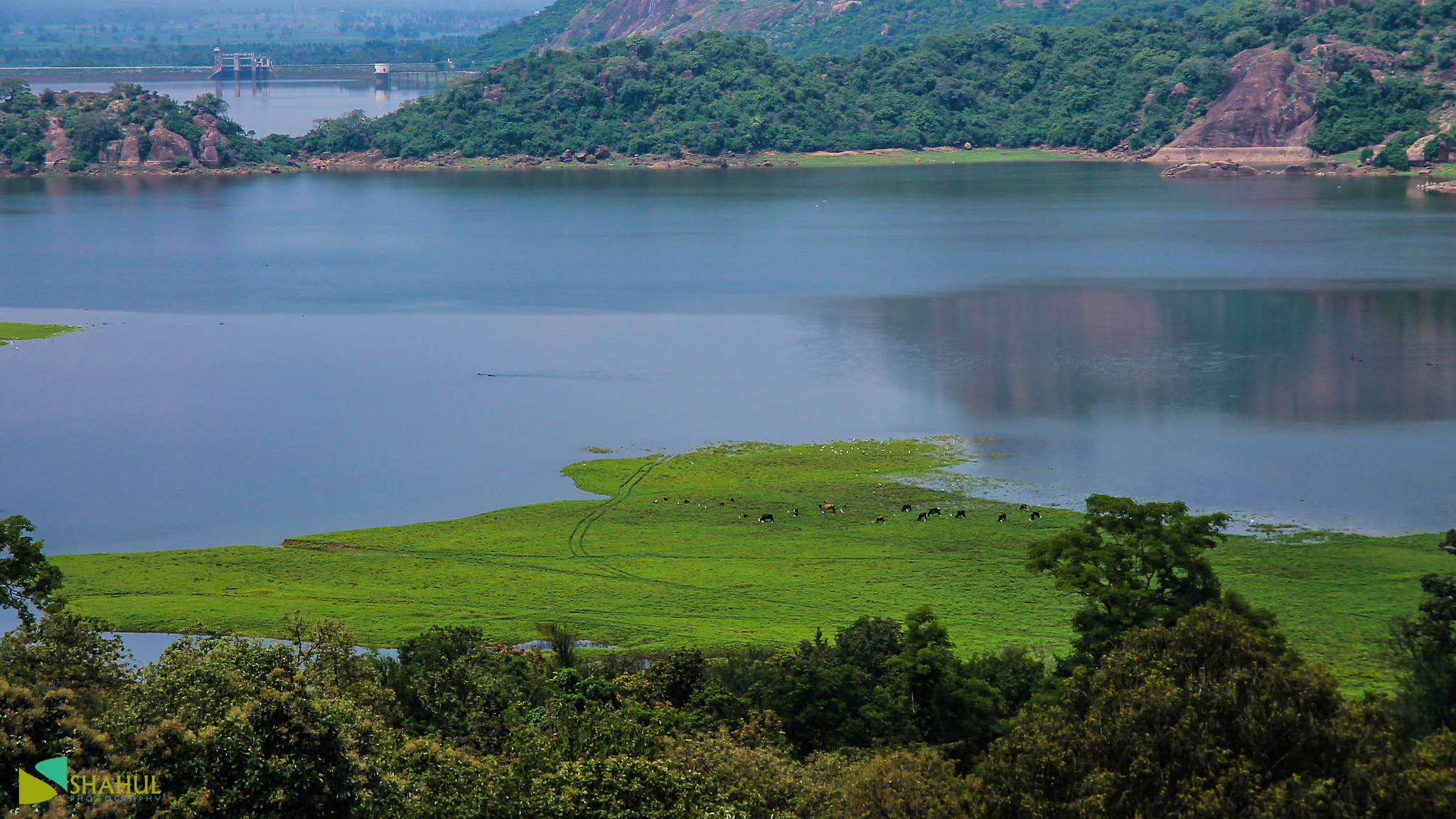 Sigma 17-70mm F2.8-4 DC Macro OS HSM sample photo. Tamilnadu... photography