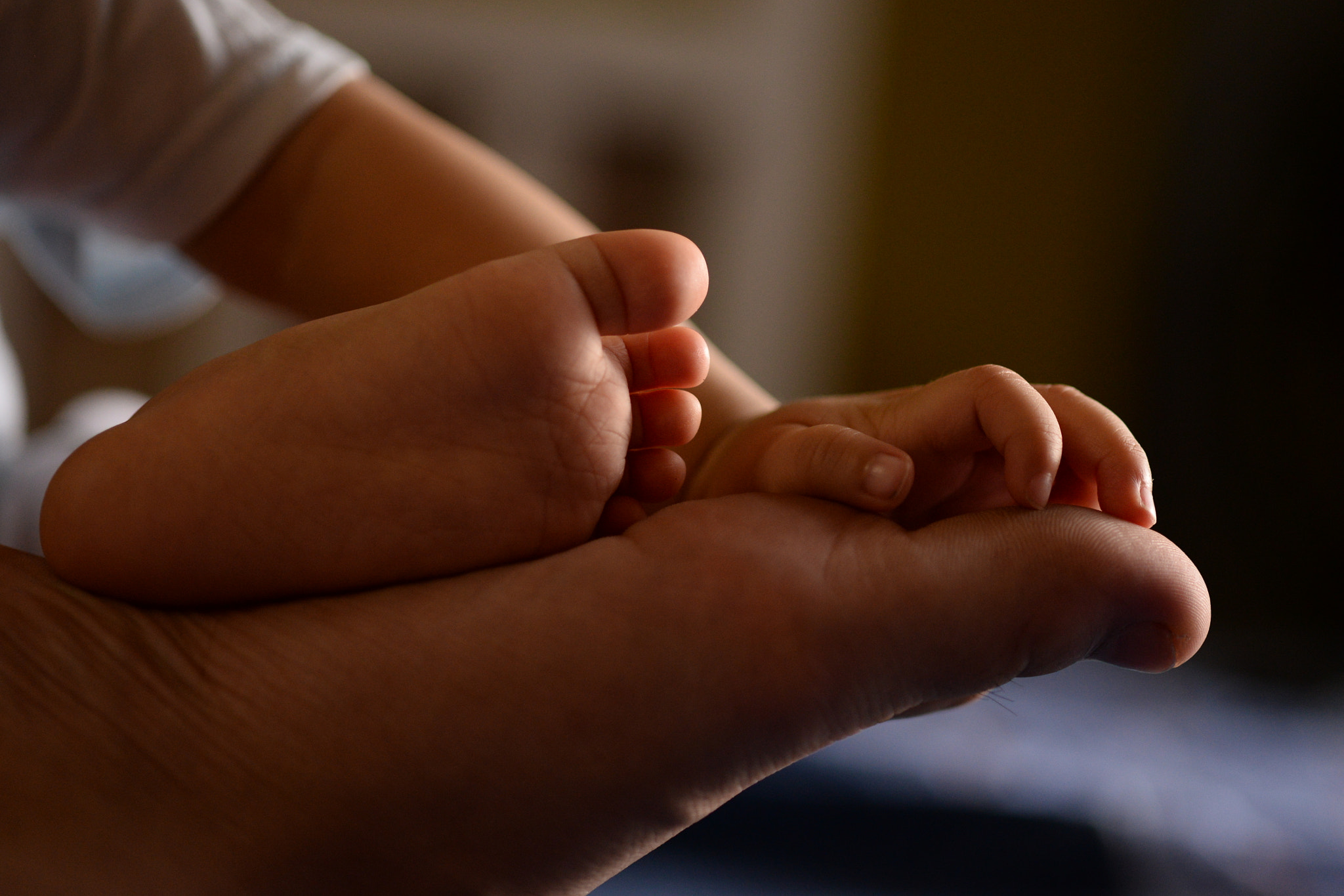 Nikon D610 + Sigma 105mm F2.8 EX DG Macro sample photo. Qmg_1380.jpg photography