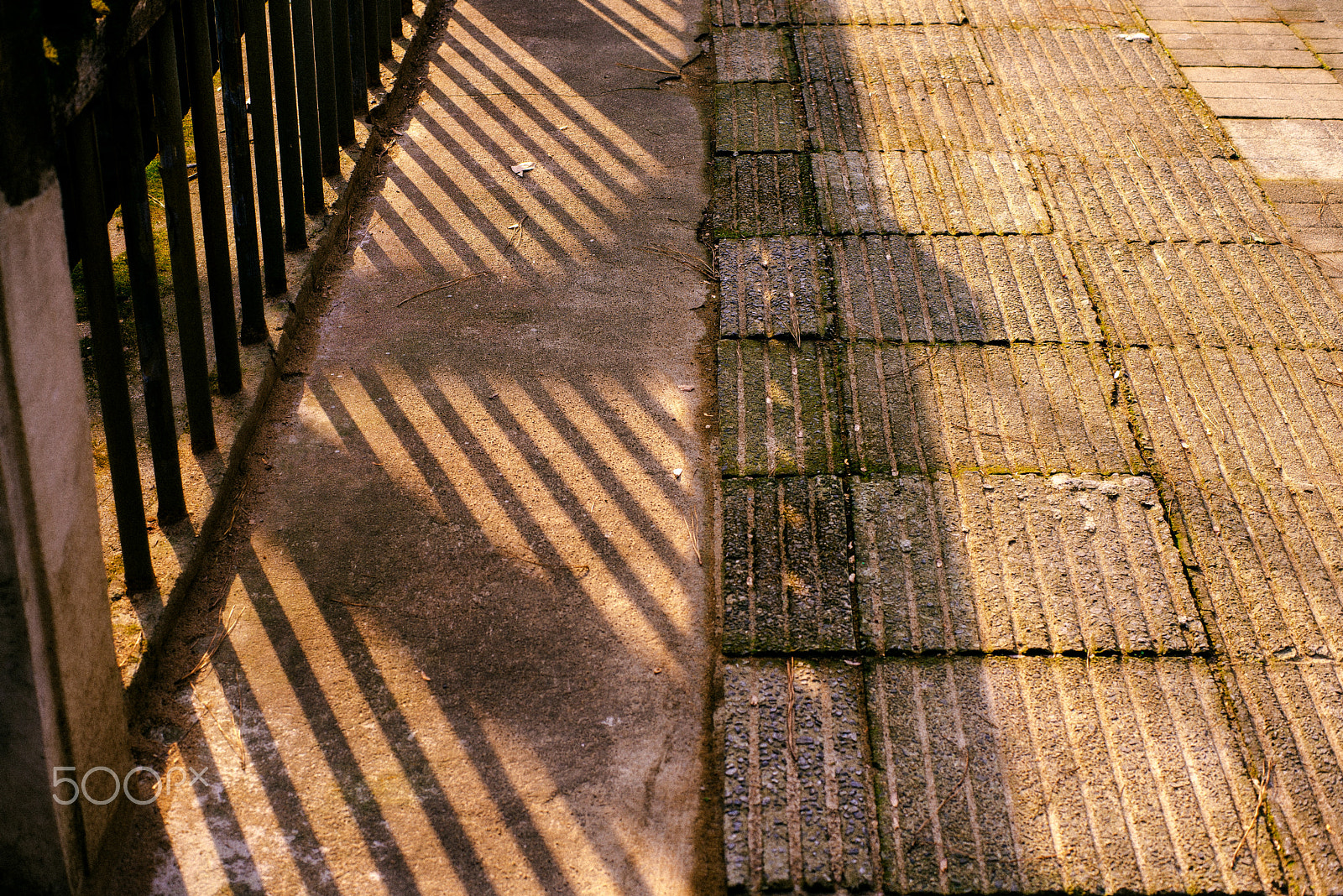 ZEISS Planar T* 50mm F1.4 sample photo. Dsc_3634.jpg photography