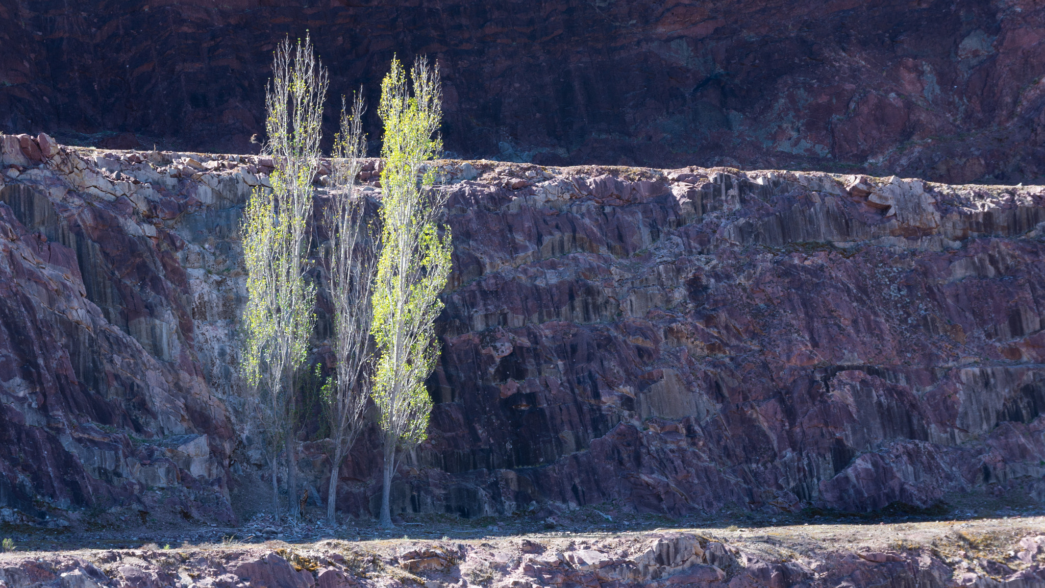 Sigma 17-70mm F2.8-4 DC Macro OS HSM | C sample photo. Cliff face photography