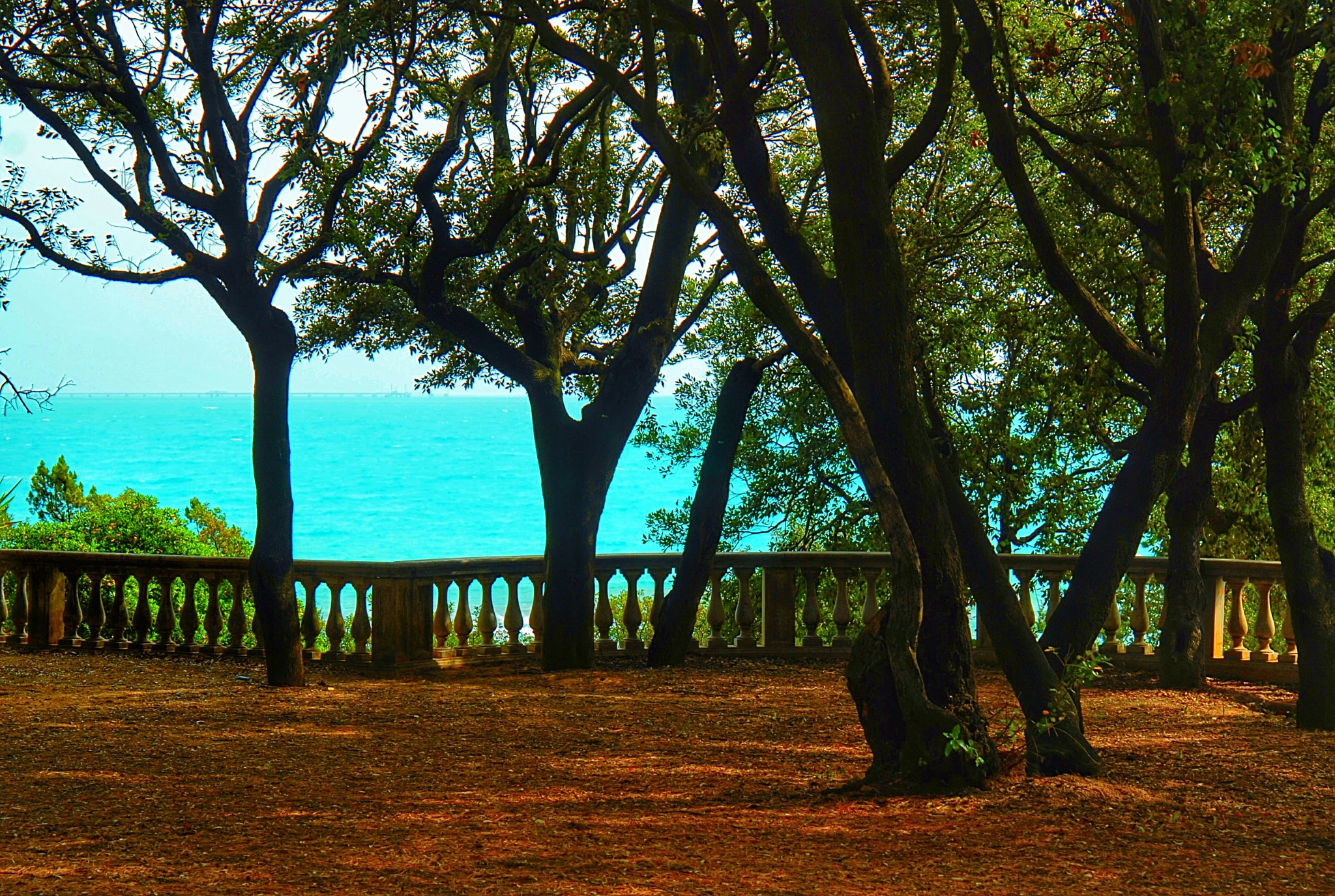 Nikon AF Nikkor 24-85mm F2.8-4D IF sample photo. Sea behind the trees photography