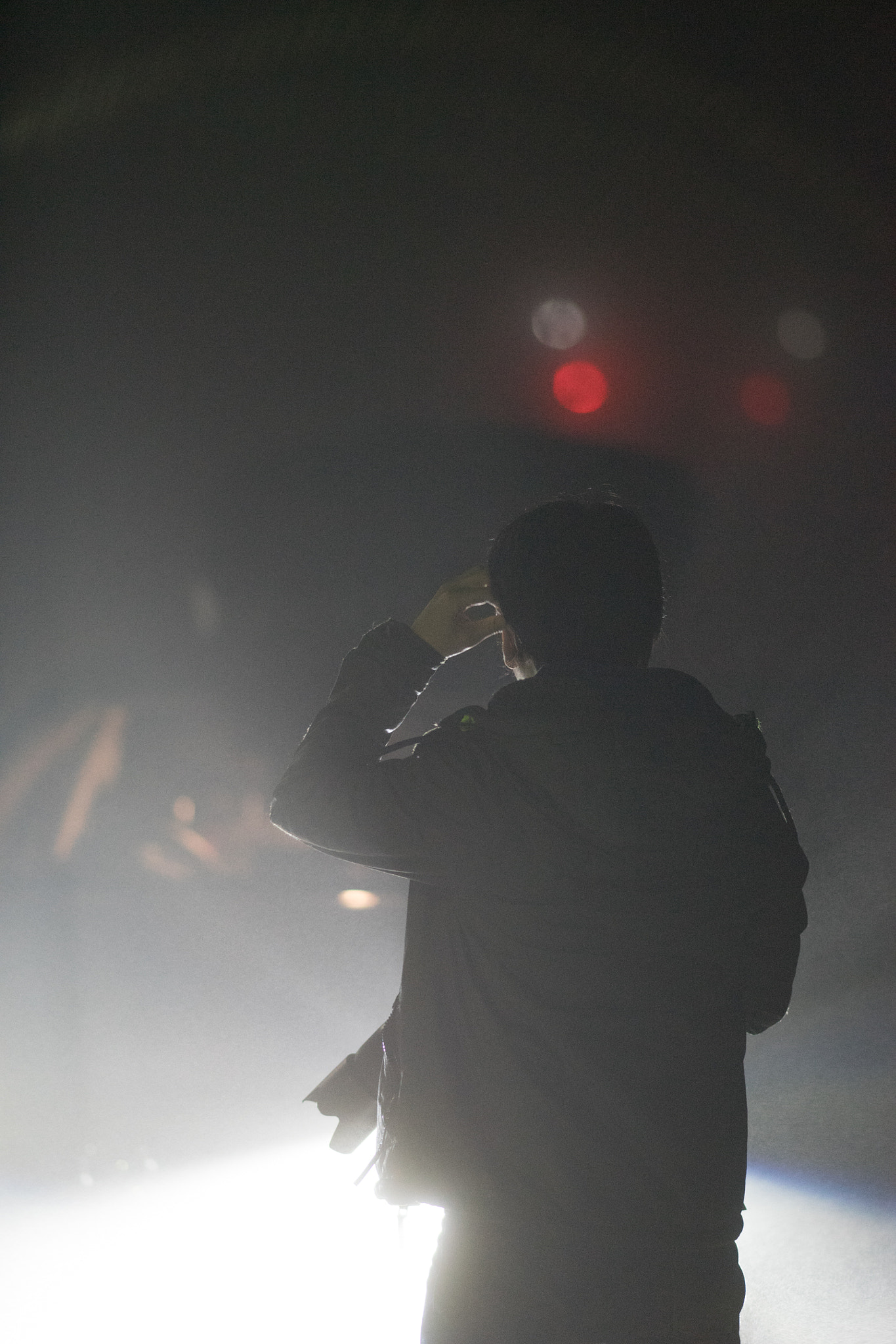 Sony Sonnar T* 135mm F1.8 ZA sample photo. Landing ufo?! photography