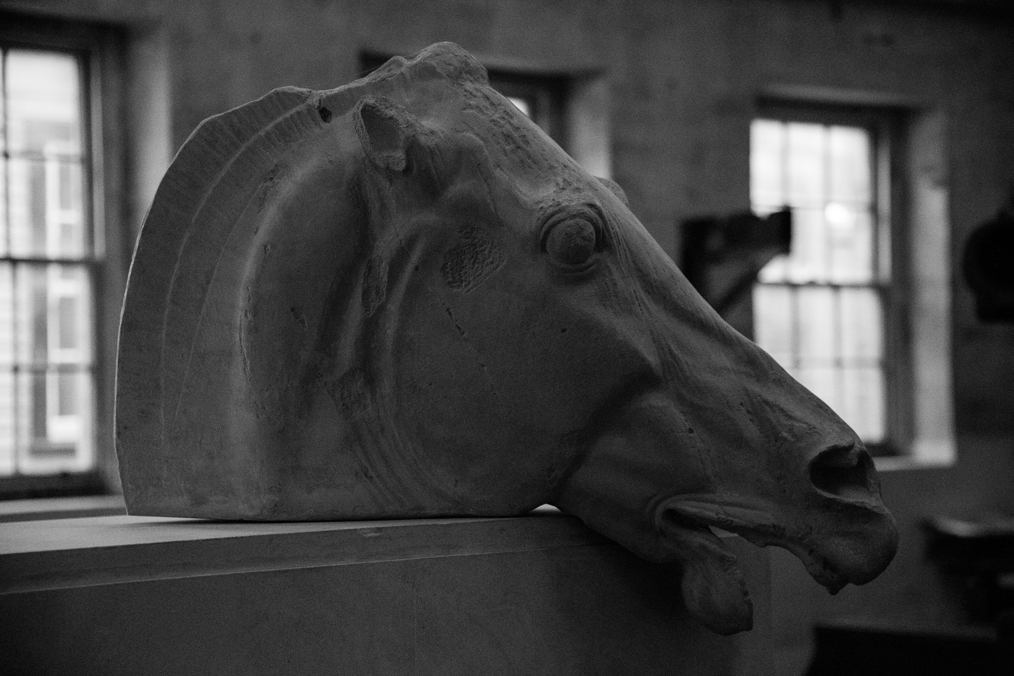 Canon EOS 6D + Canon EF 500mm F4L IS USM sample photo. Horse head statue photography
