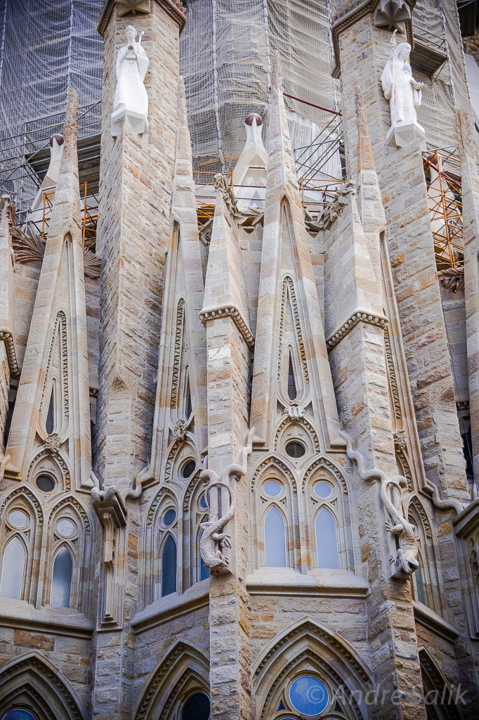 Nikon Df sample photo. La sagrada familia, barcelona. photography