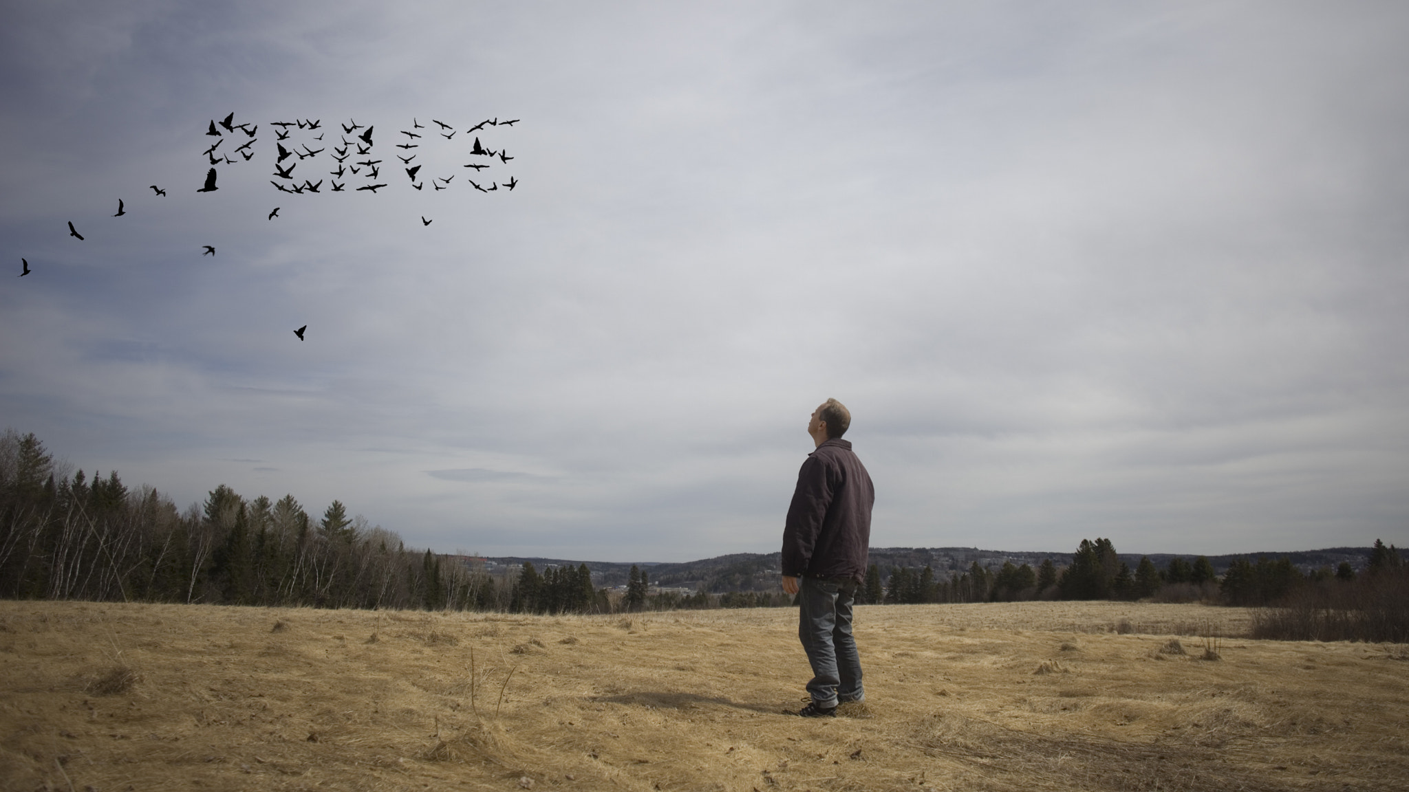 Canon EF 24mm F2.8 sample photo. Give (peace) a chance photography