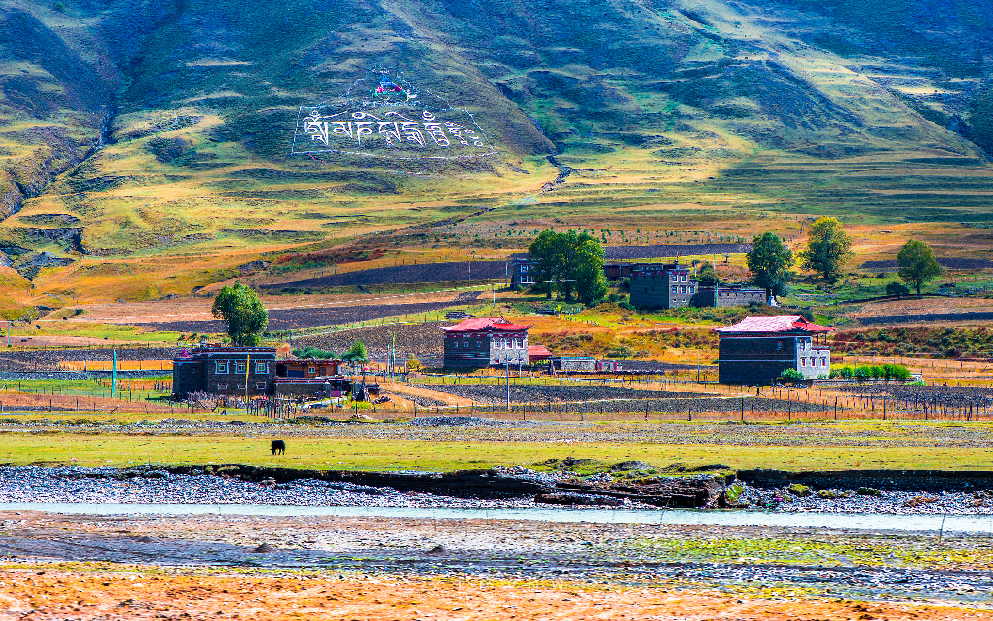 Nikon Df sample photo. Village in china photography