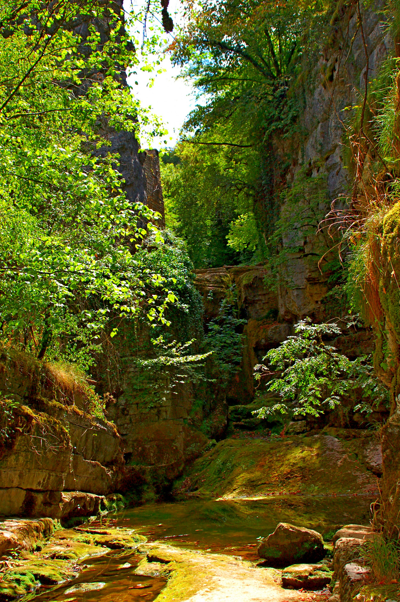 Nikon D50 sample photo. Canyon photography