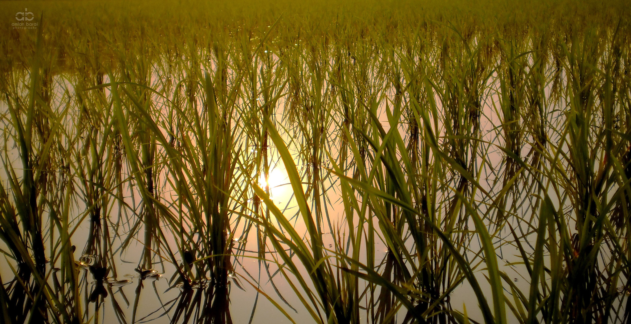 Olympus T105,T100,X36 sample photo. Reflections....... photography