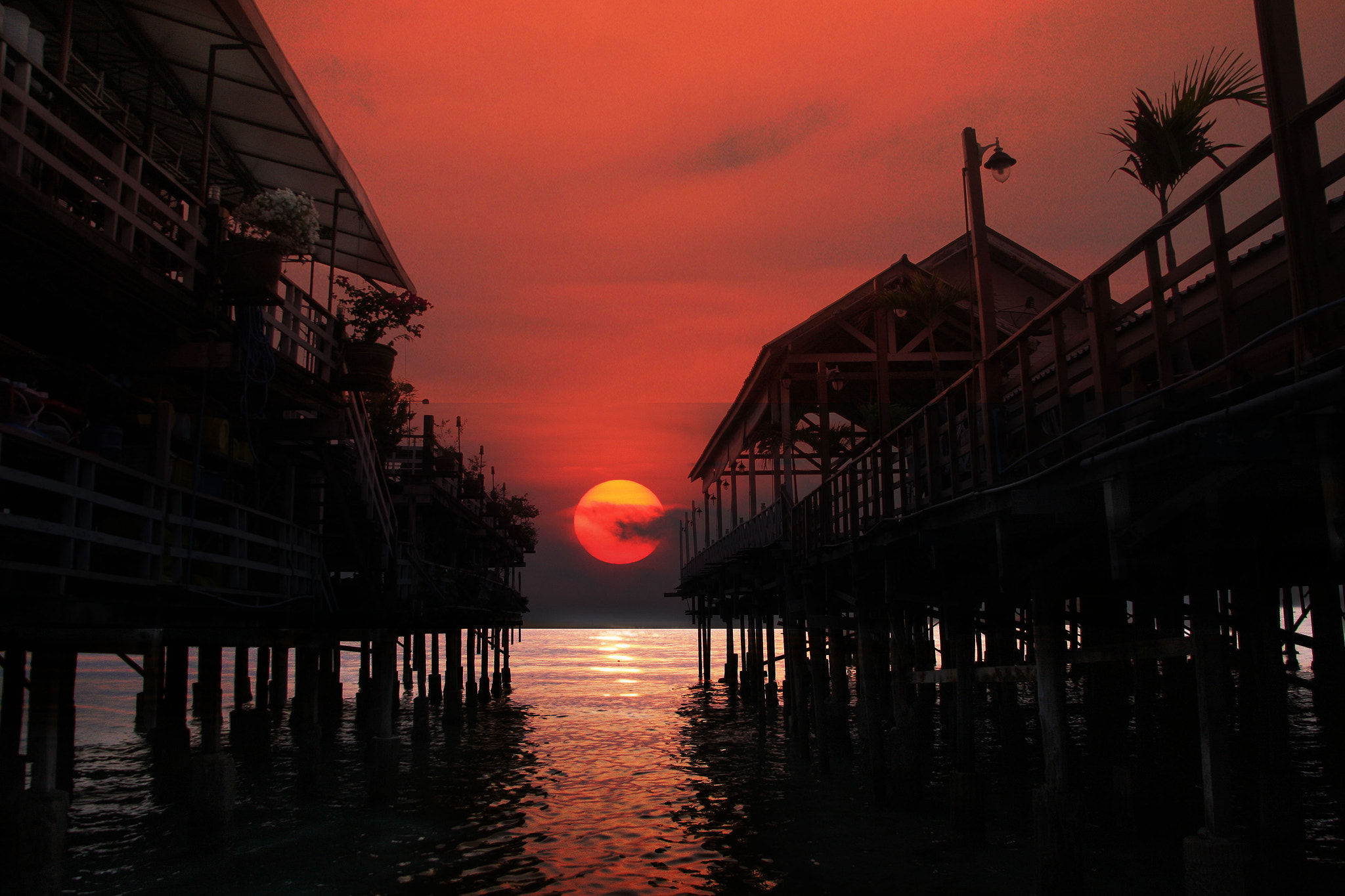 Canon EOS 40D sample photo. This morning photography