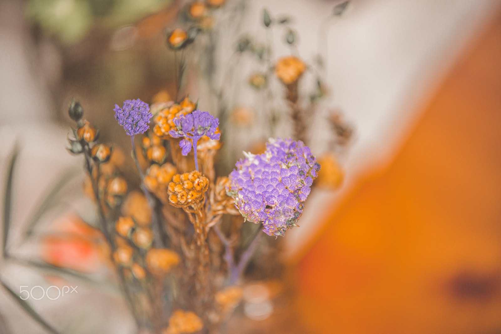 Tamron SP AF 70-200mm F2.8 Di LD (IF) MACRO sample photo. Flowers photography