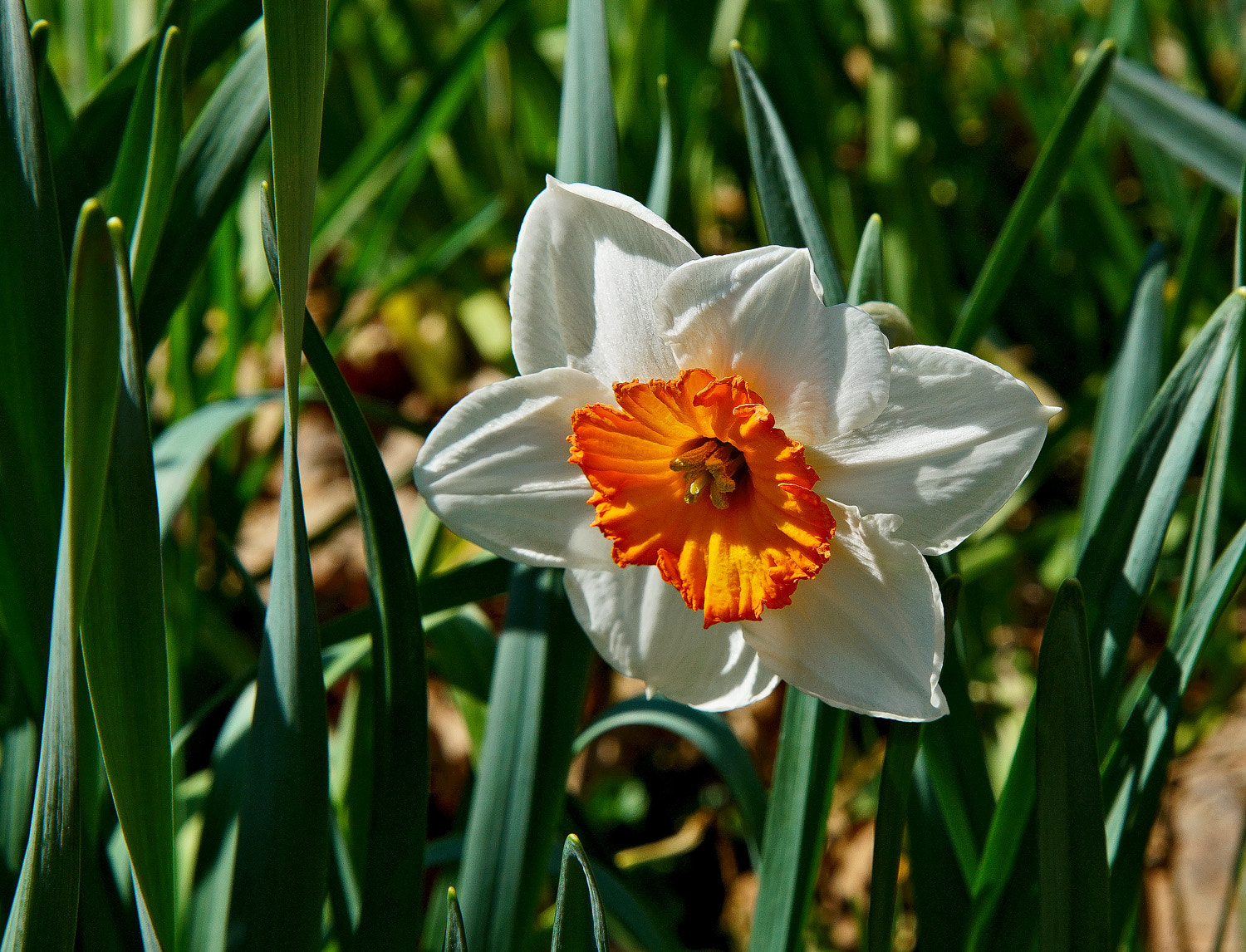 24-105mm F4 G SSM OSS sample photo. One of the last photography