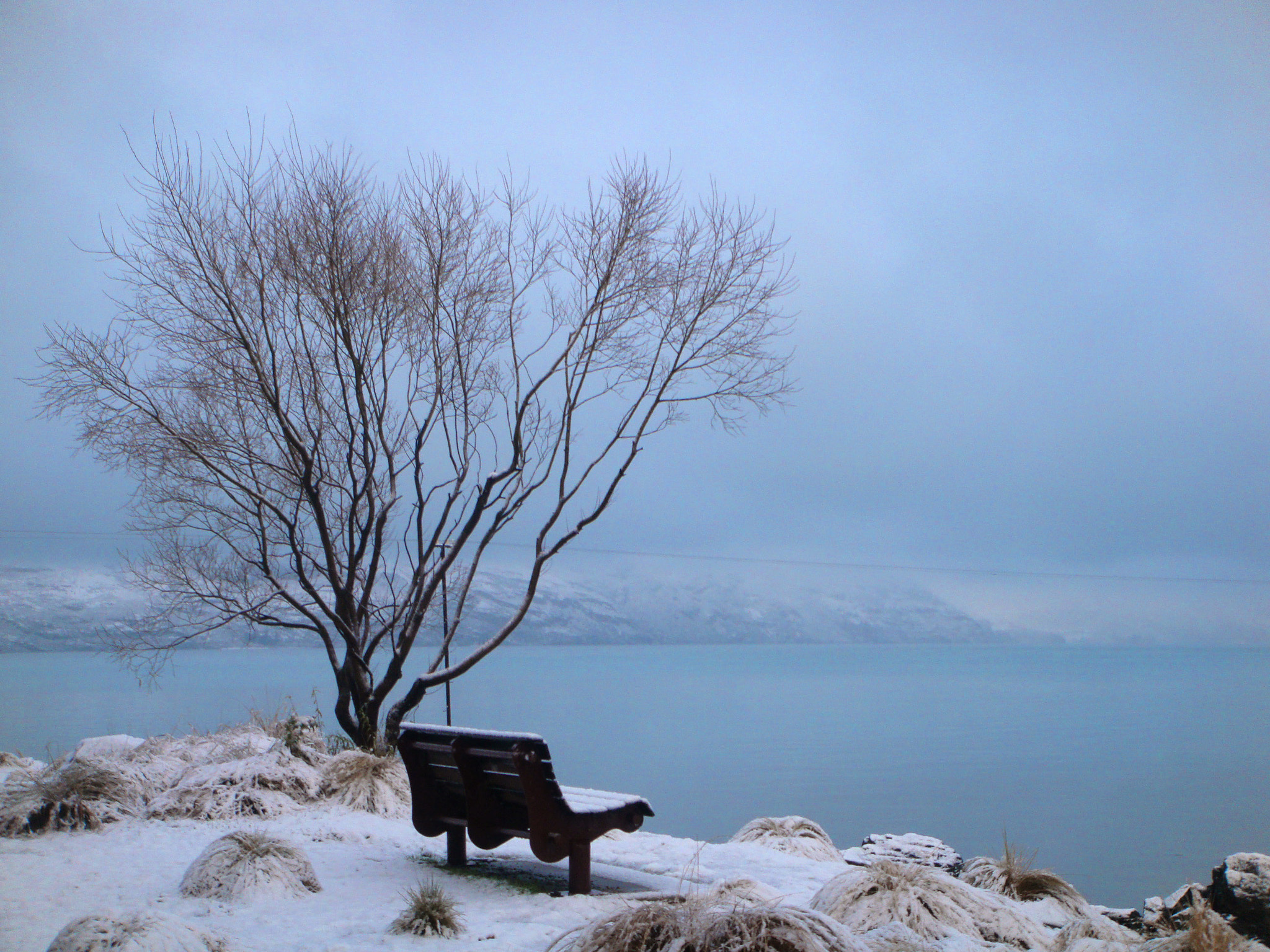 Sony DSC-T300 sample photo. Picture taken from the lake wakatipu in queenstown ... photography