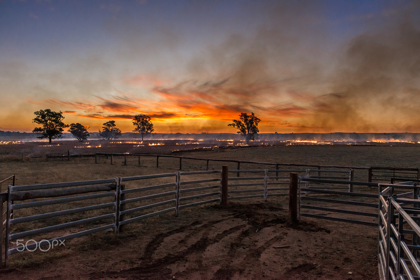 Nikon D800 + Samyang 12mm F2.8 ED AS NCS Fisheye sample photo. Burn-off at sunset photography