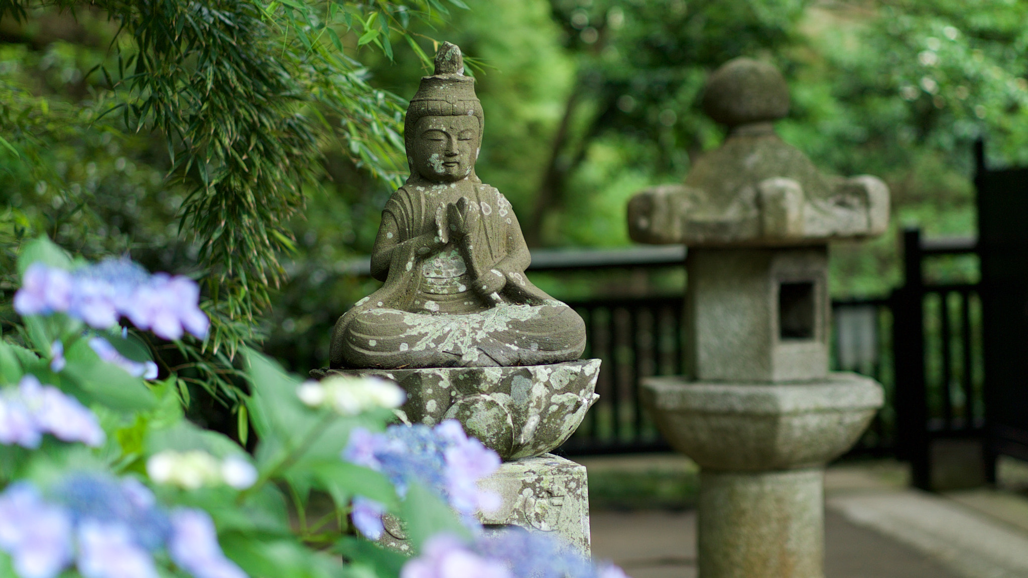 Sony a7S + Sony Sonnar T* FE 55mm F1.8 ZA sample photo. Buddhist statue in kamakura, japan photography