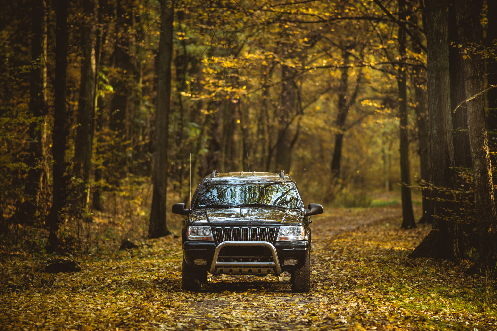 Nikon D800 + AF Nikkor 180mm f/2.8 IF-ED sample photo. Jeep photography