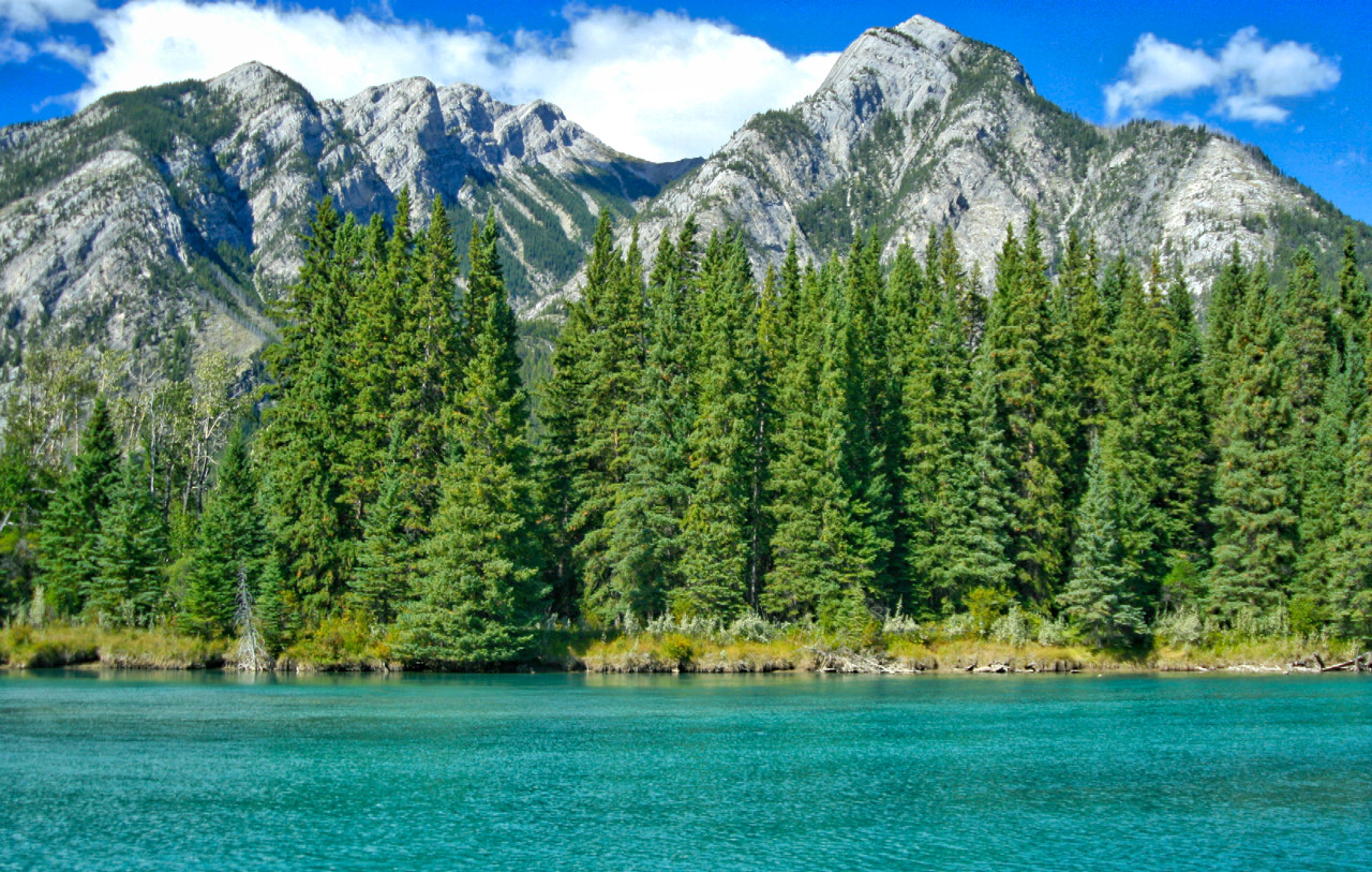 Canon EF 28-105mm f/3.5-4.5 USM sample photo. Athabasca river and mountains photography