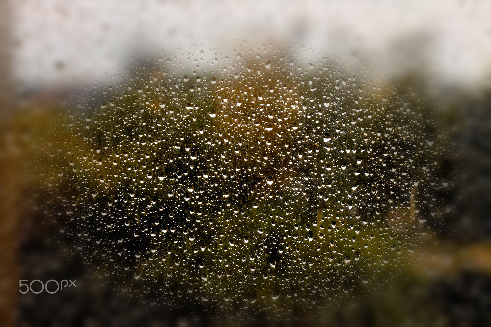 Canon EF-S 60mm F2.8 Macro USM sample photo. Vignette drops photography
