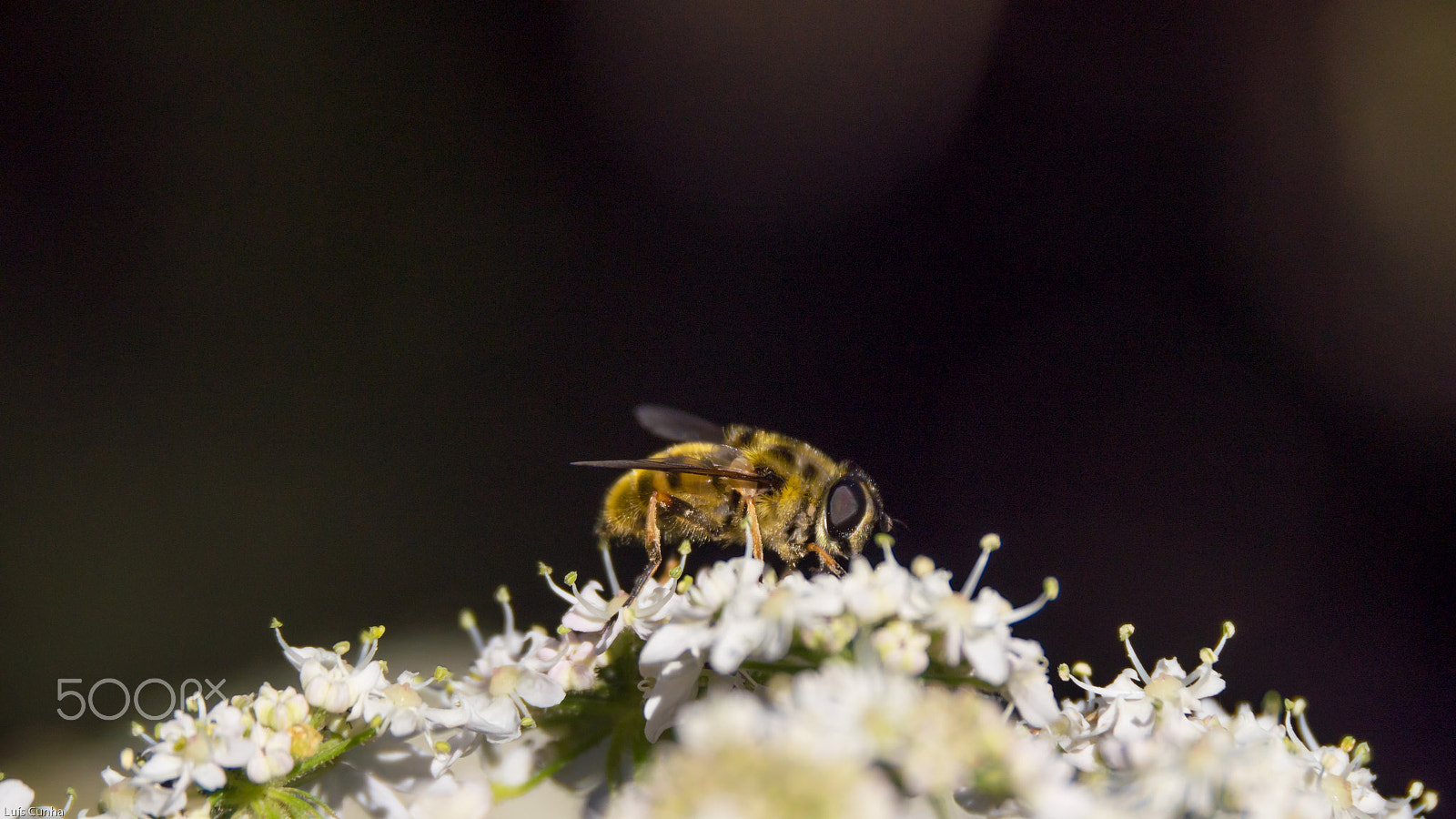 Panasonic Lumix DMC-GH4 sample photo. B mountain photography