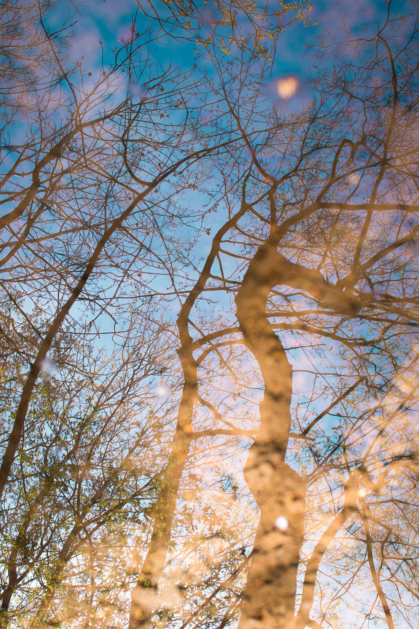 Canon EF 28mm F2.8 IS USM sample photo. . photography