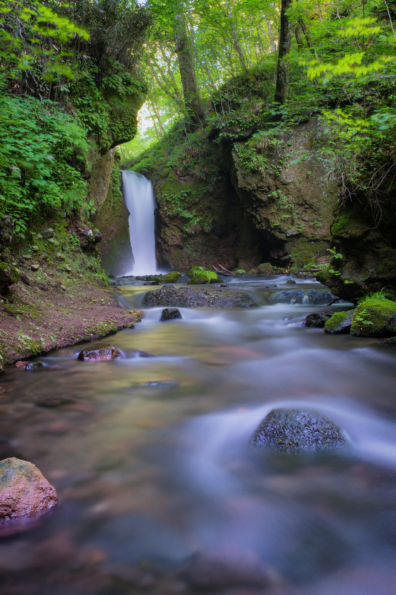 Nikon AF-S Nikkor 18-35mm F3.5-4.5G ED sample photo. 信濃路自然歩道 竜返しの滝 photography