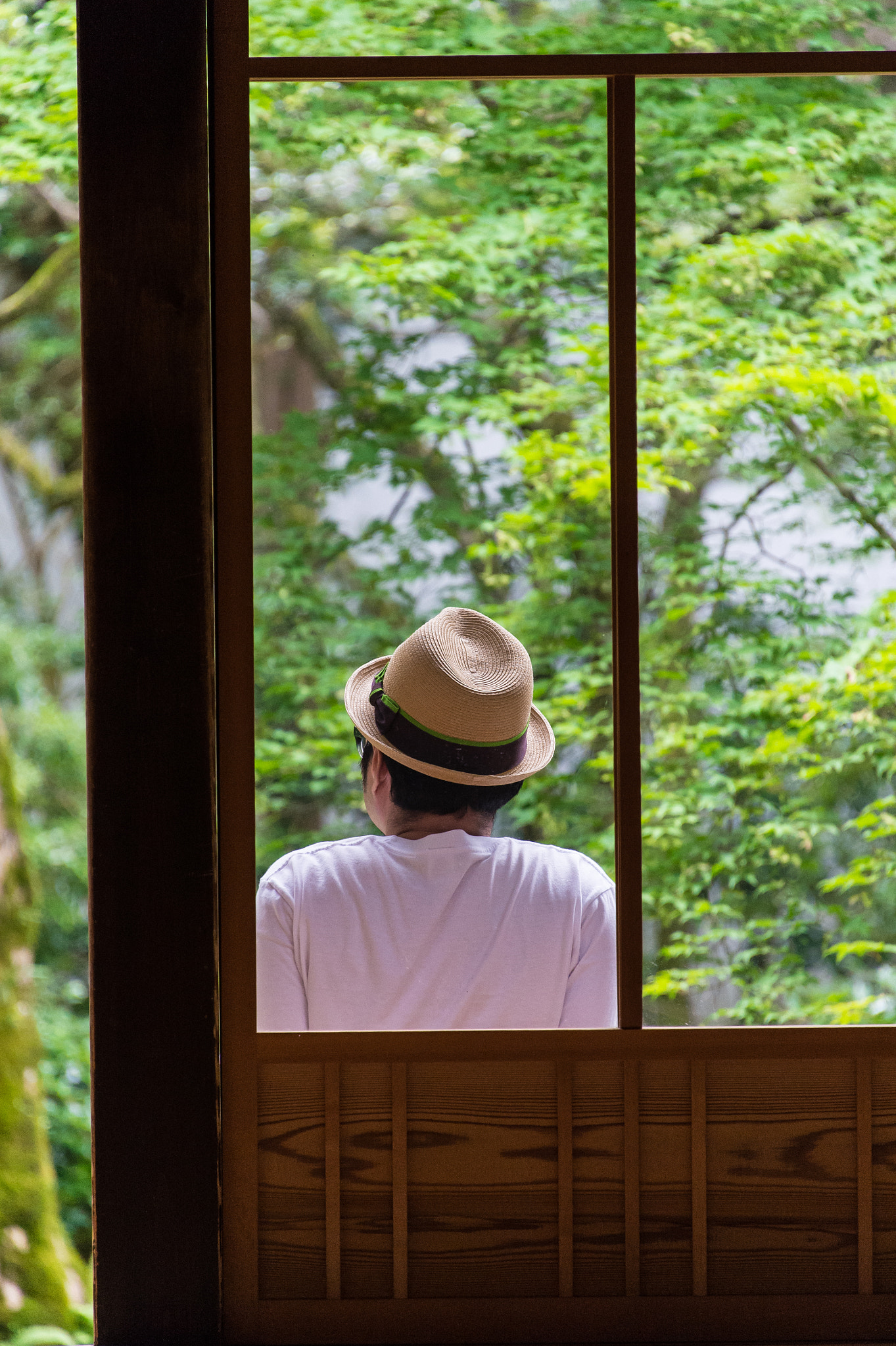 Nikon Df sample photo. Silence in summer photography