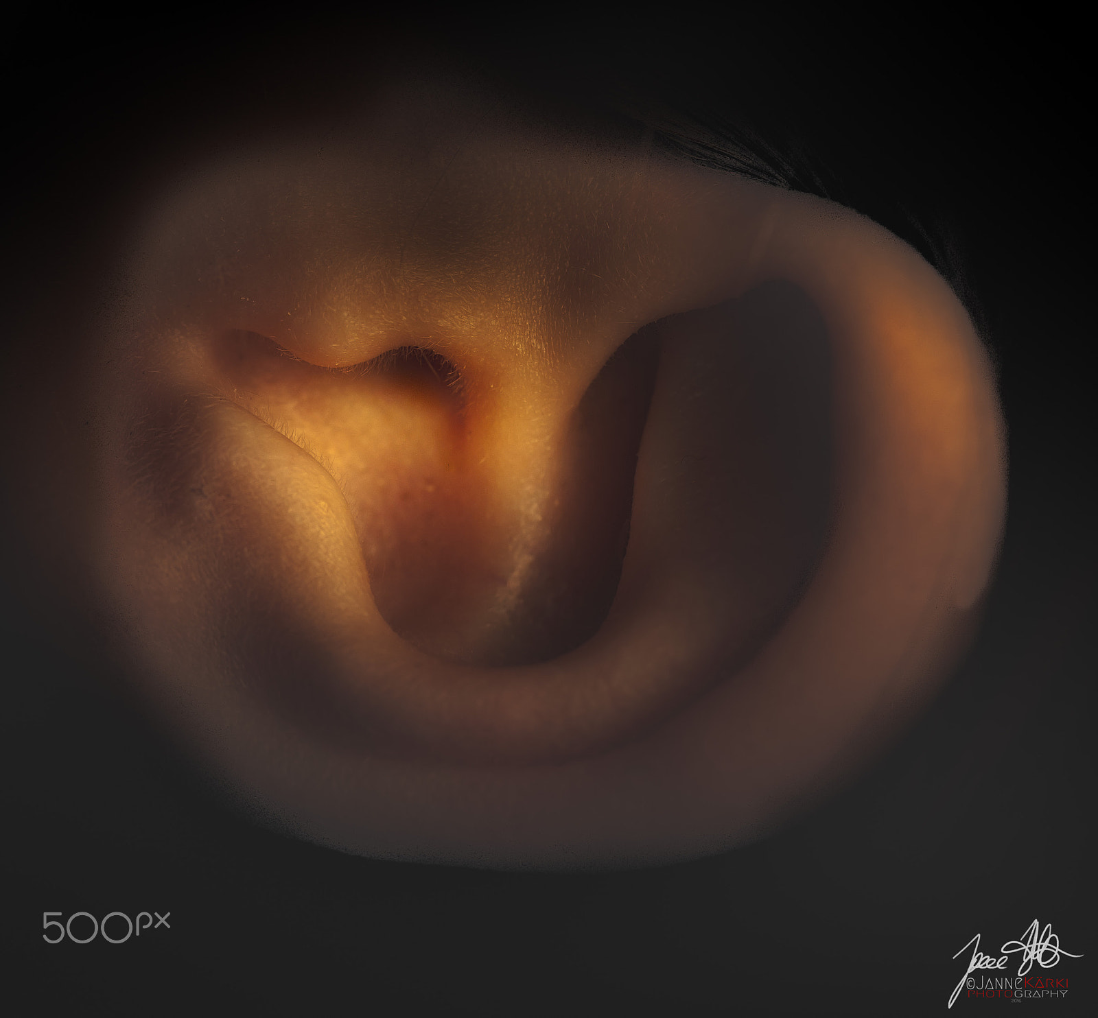 Canon EF-S 60mm F2.8 Macro USM sample photo. Auricle photography