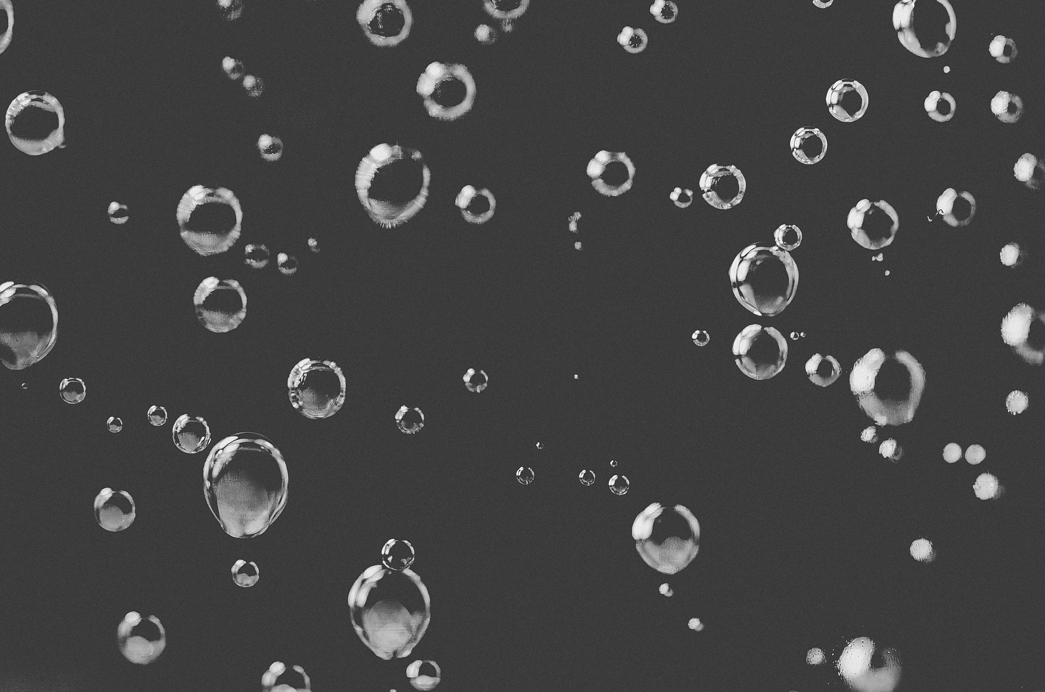 Nikon AF-S Micro-Nikkor 60mm F2.8G ED sample photo. Undersea world photography