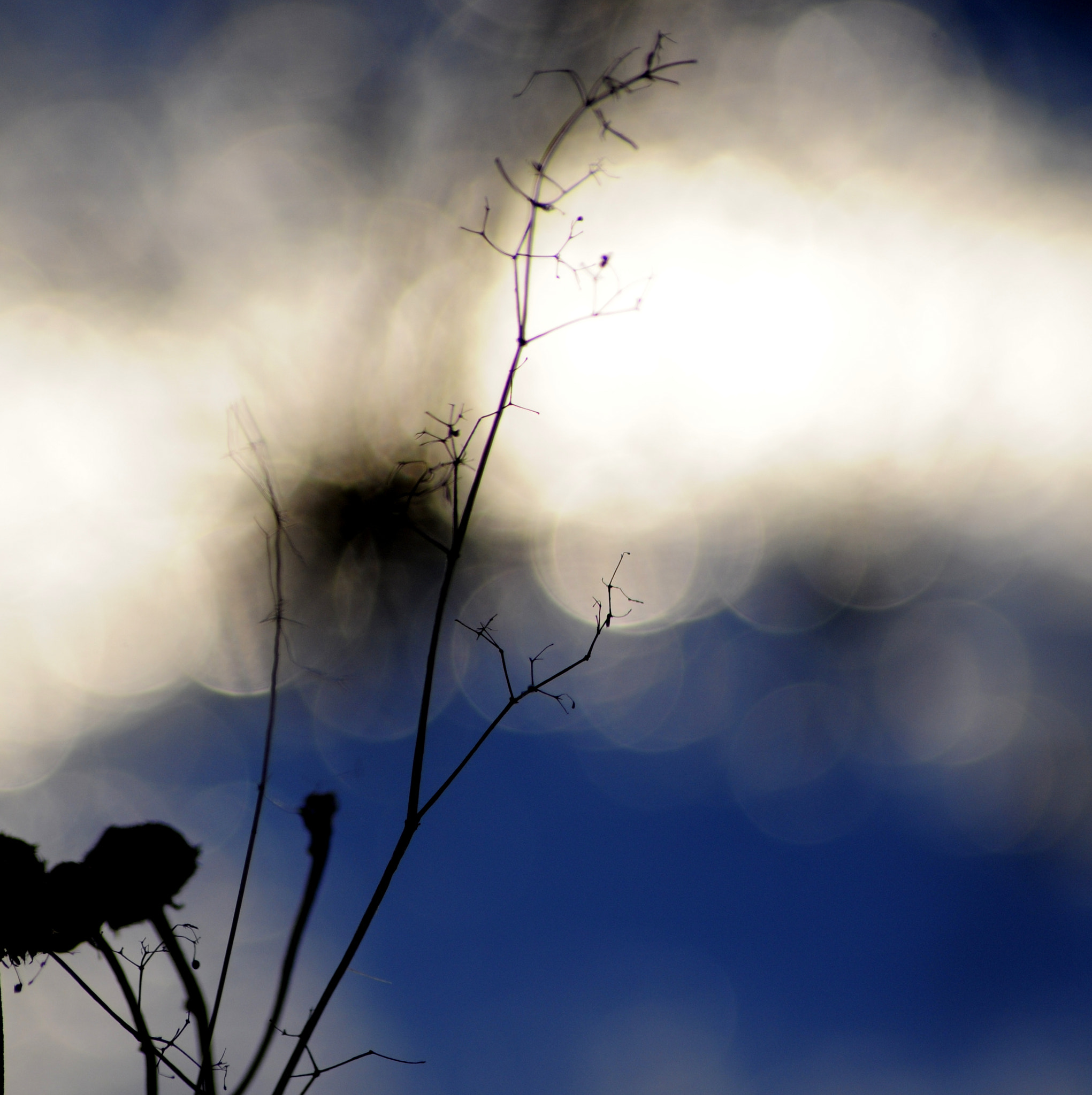 Sigma 70-300mm F4-5.6 APO Macro Super II sample photo. 6  photography