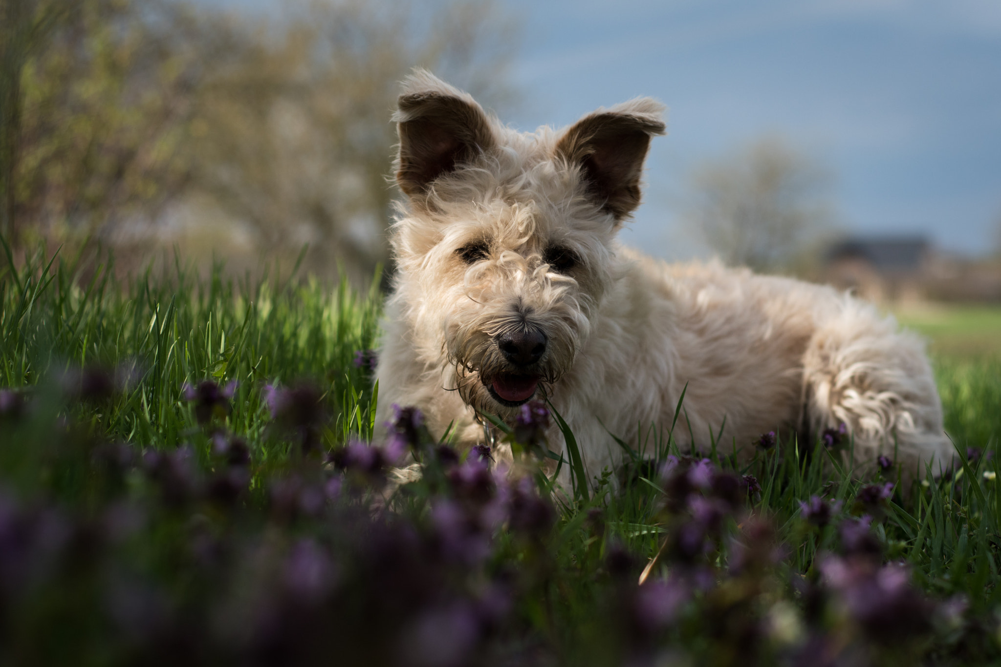 Nikon D5500 + Nikon AF Nikkor 50mm F1.8D sample photo. Happiness photography