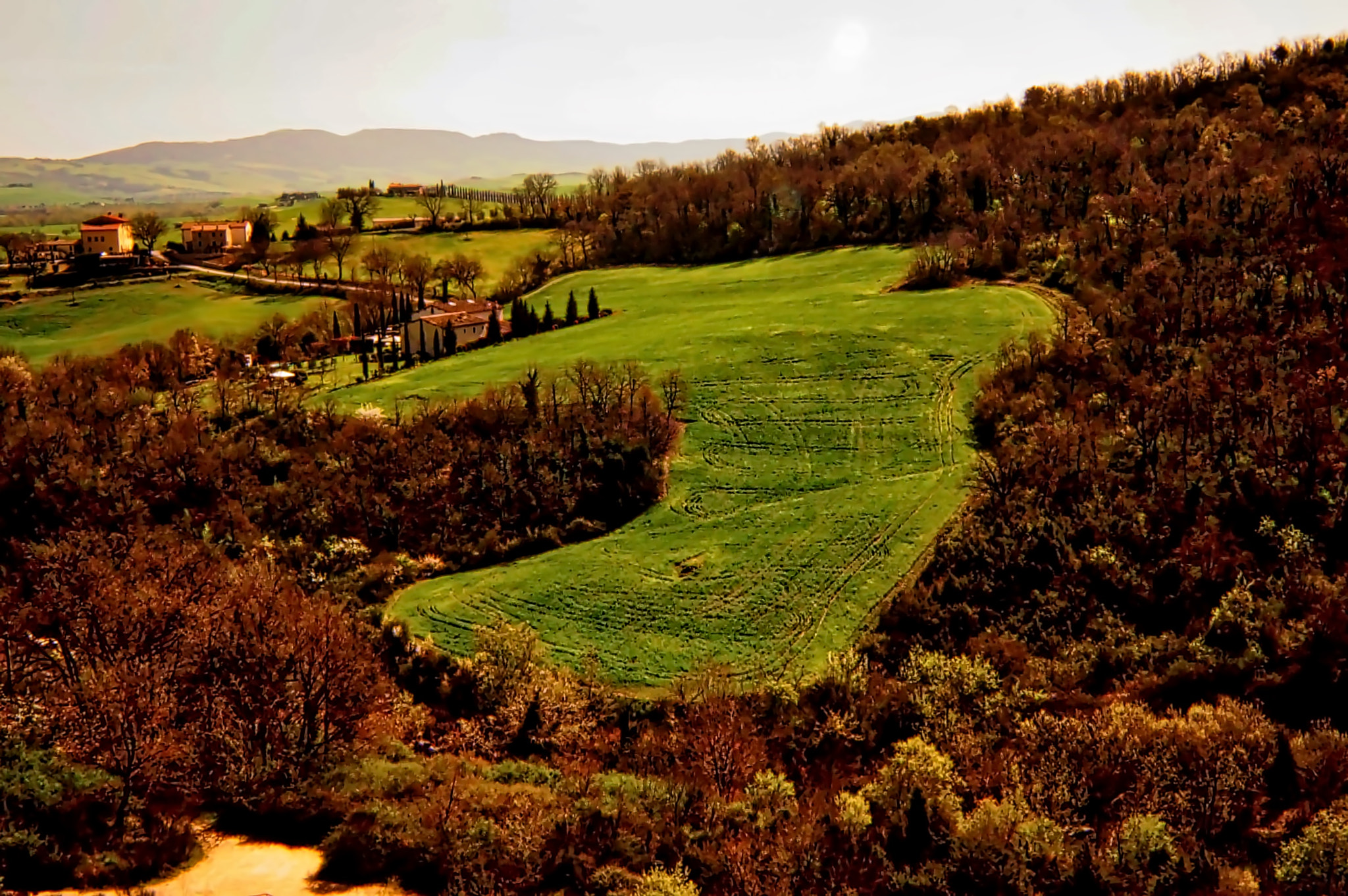 Sony SLT-A65 (SLT-A65V) + 20mm F2.8 sample photo. Val d'orcia photography