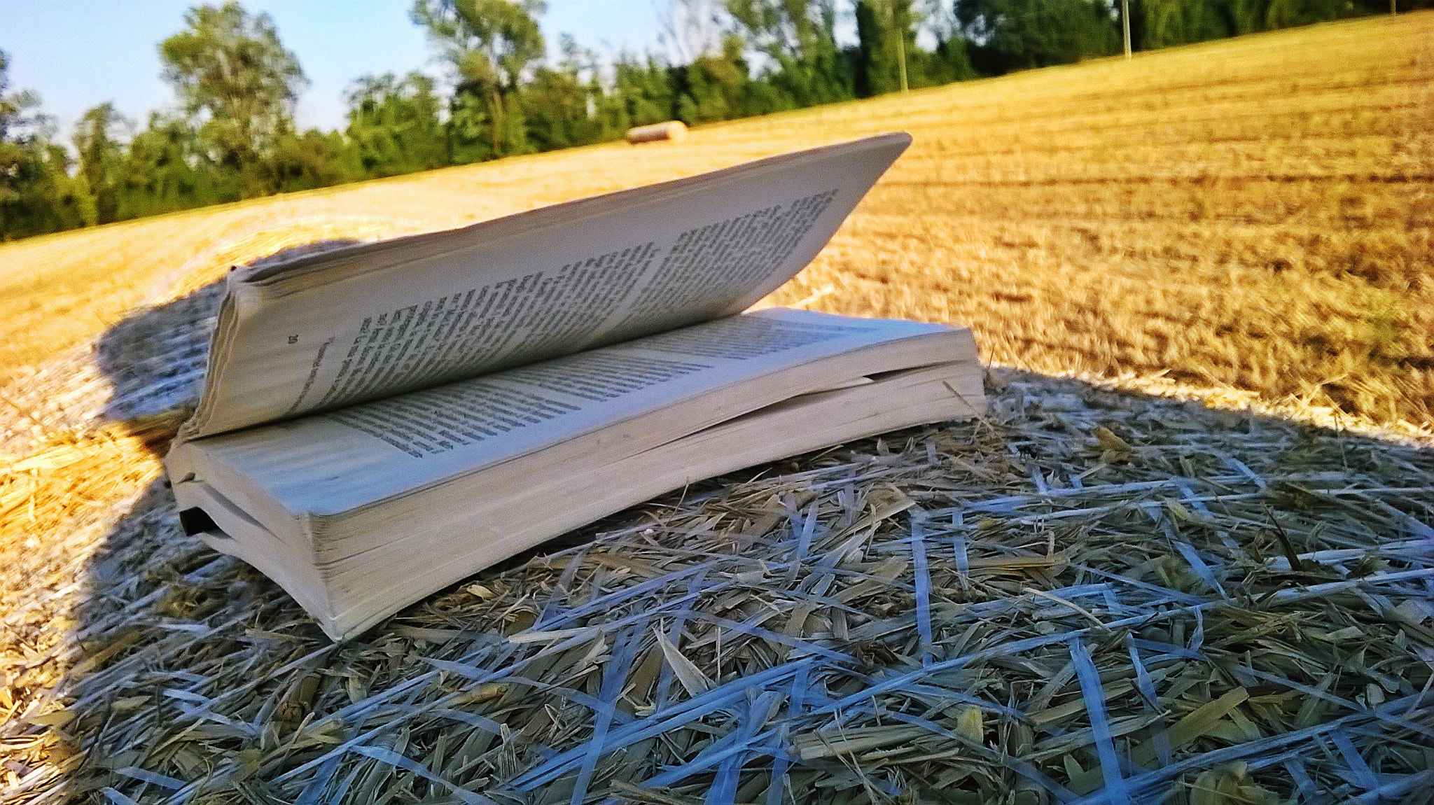 Nokia Lumia 635 sample photo. Fields of pages photography