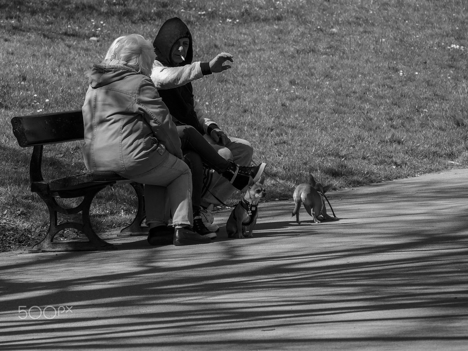 Panasonic Lumix DMC-G7 sample photo. Treffen im park photography