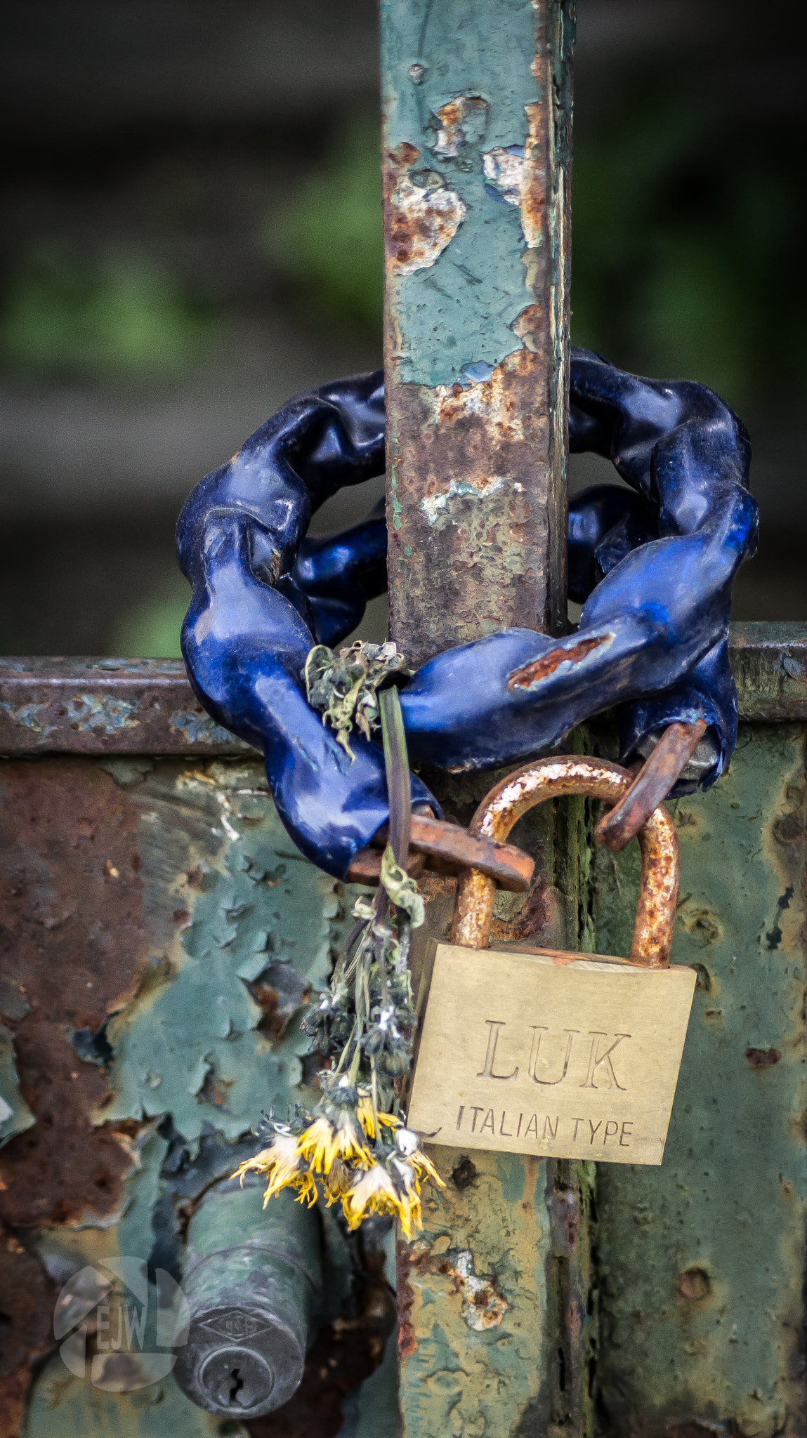 Sony DT 55-200mm F4-5.6 SAM sample photo. Chain photography