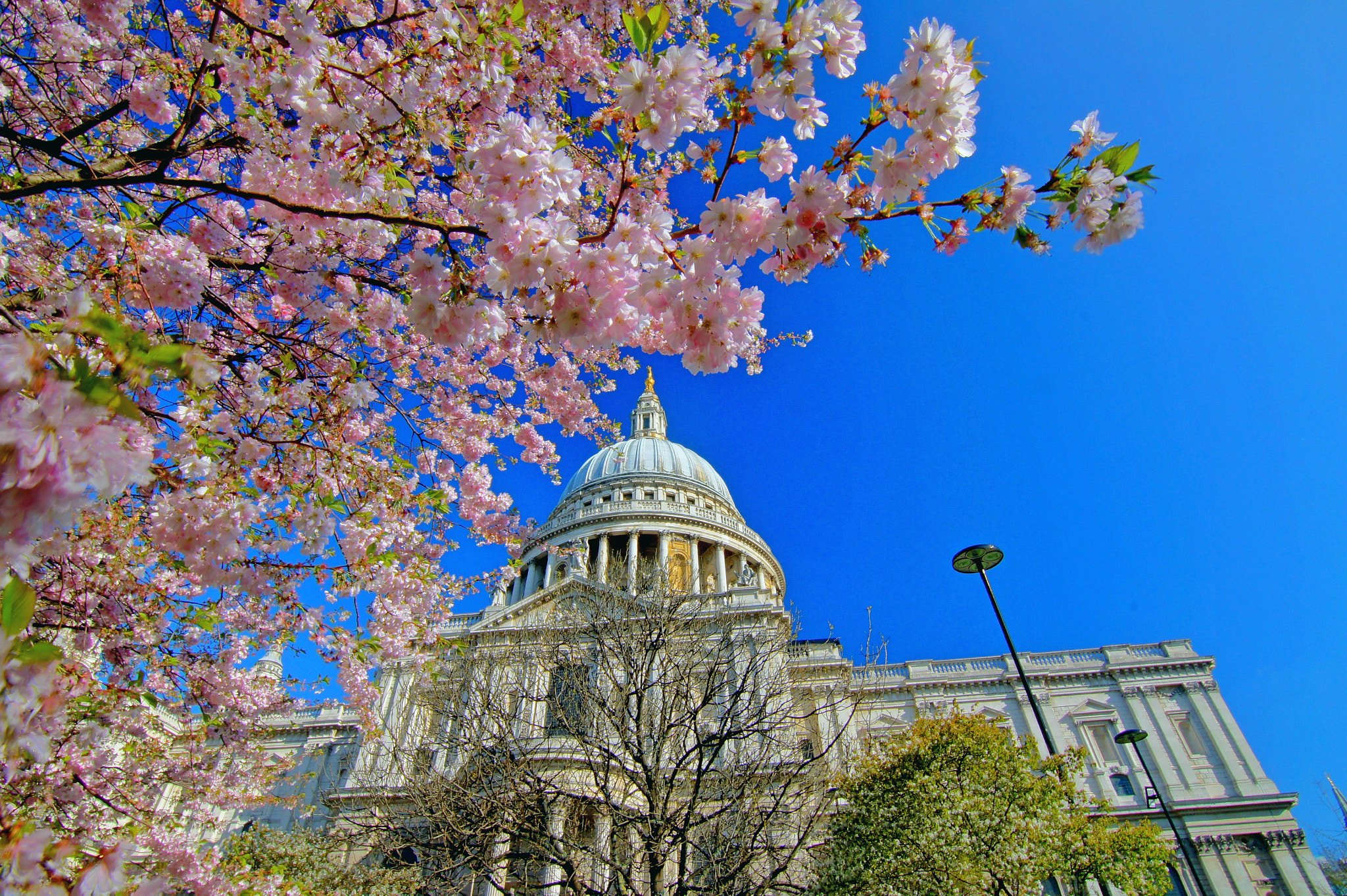 Sony Alpha DSLR-A550 + 20mm F2.8 sample photo. Springtime at st pauls cathedral. photography