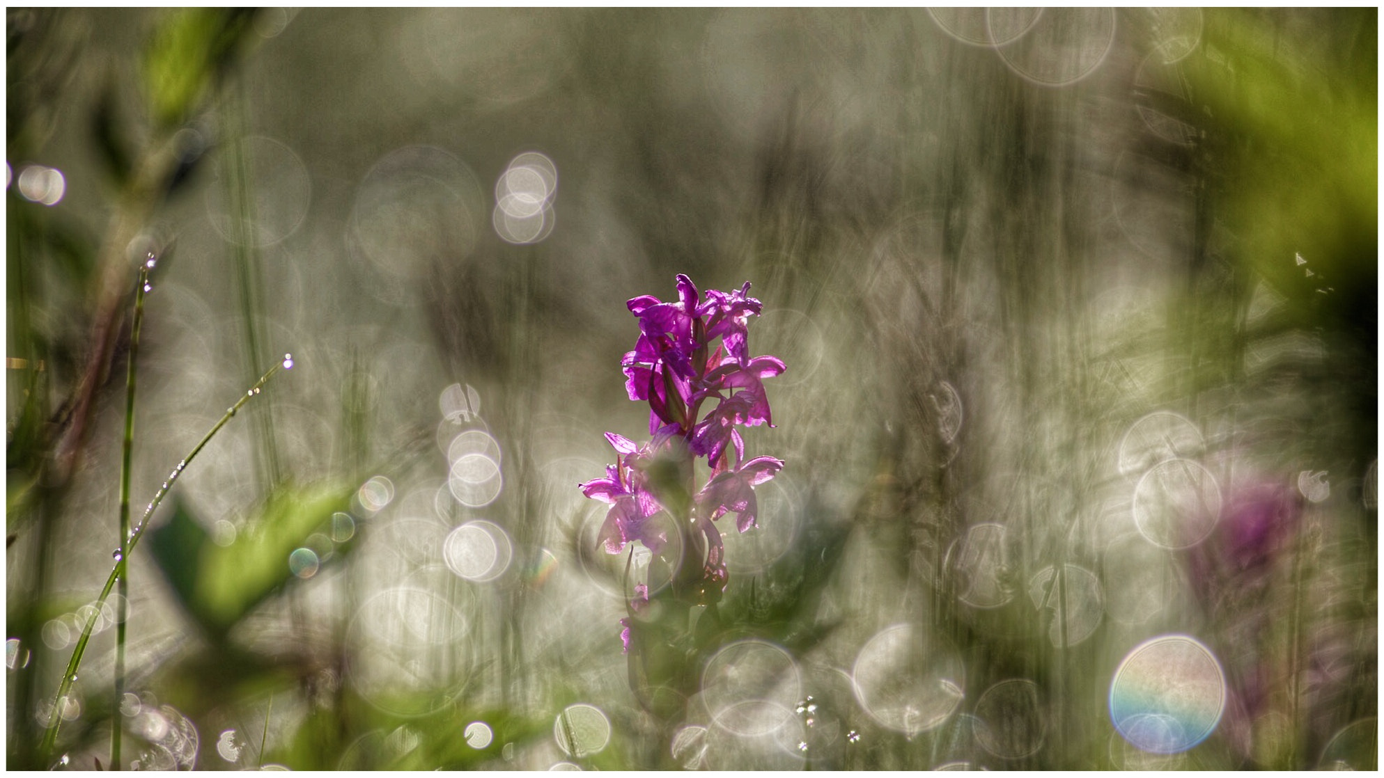 Canon EF 400mm F5.6L USM sample photo. Hidden photography
