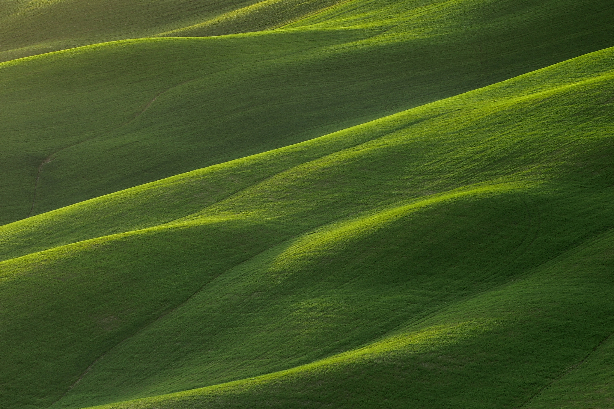 Sigma 150-600mm F5-6.3 DG OS HSM | C sample photo. Light on the hills photography