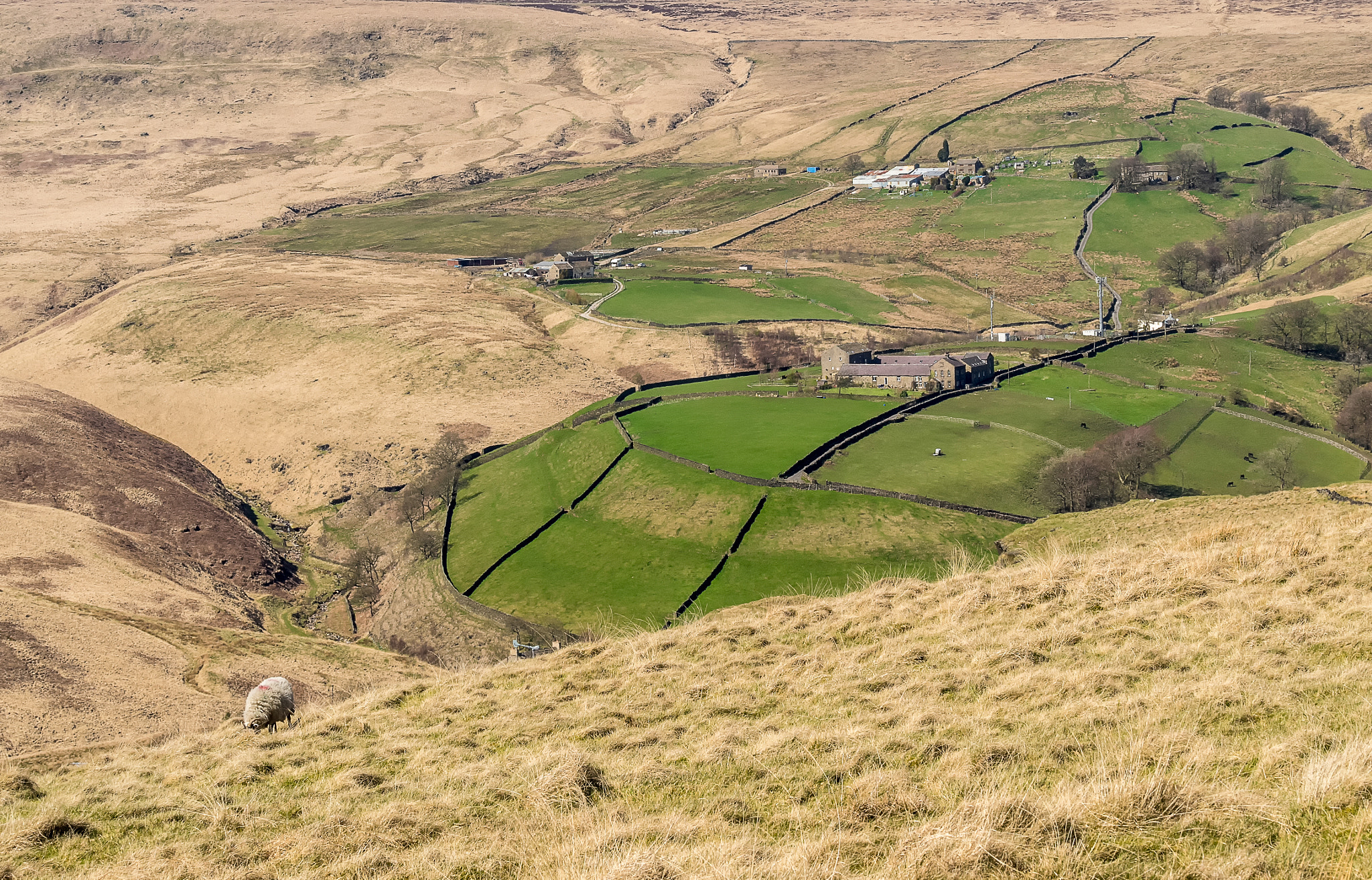Panasonic Lumix G X Vario 35-100mm F2.8 OIS sample photo. Green waves photography