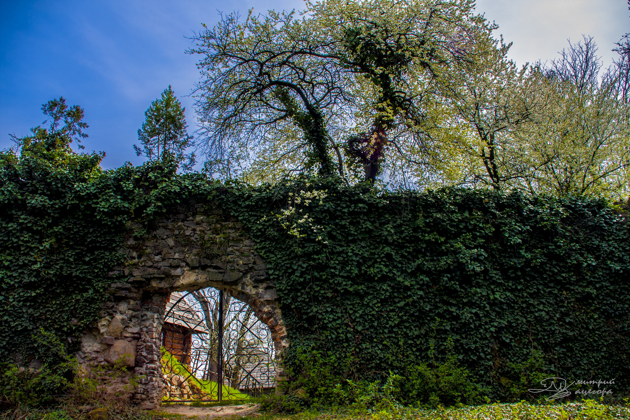 Canon EOS 40D + Sigma 18-125mm f/3.5-5.6 DC IF ASP sample photo. Ancient gate x century-xi century years photography