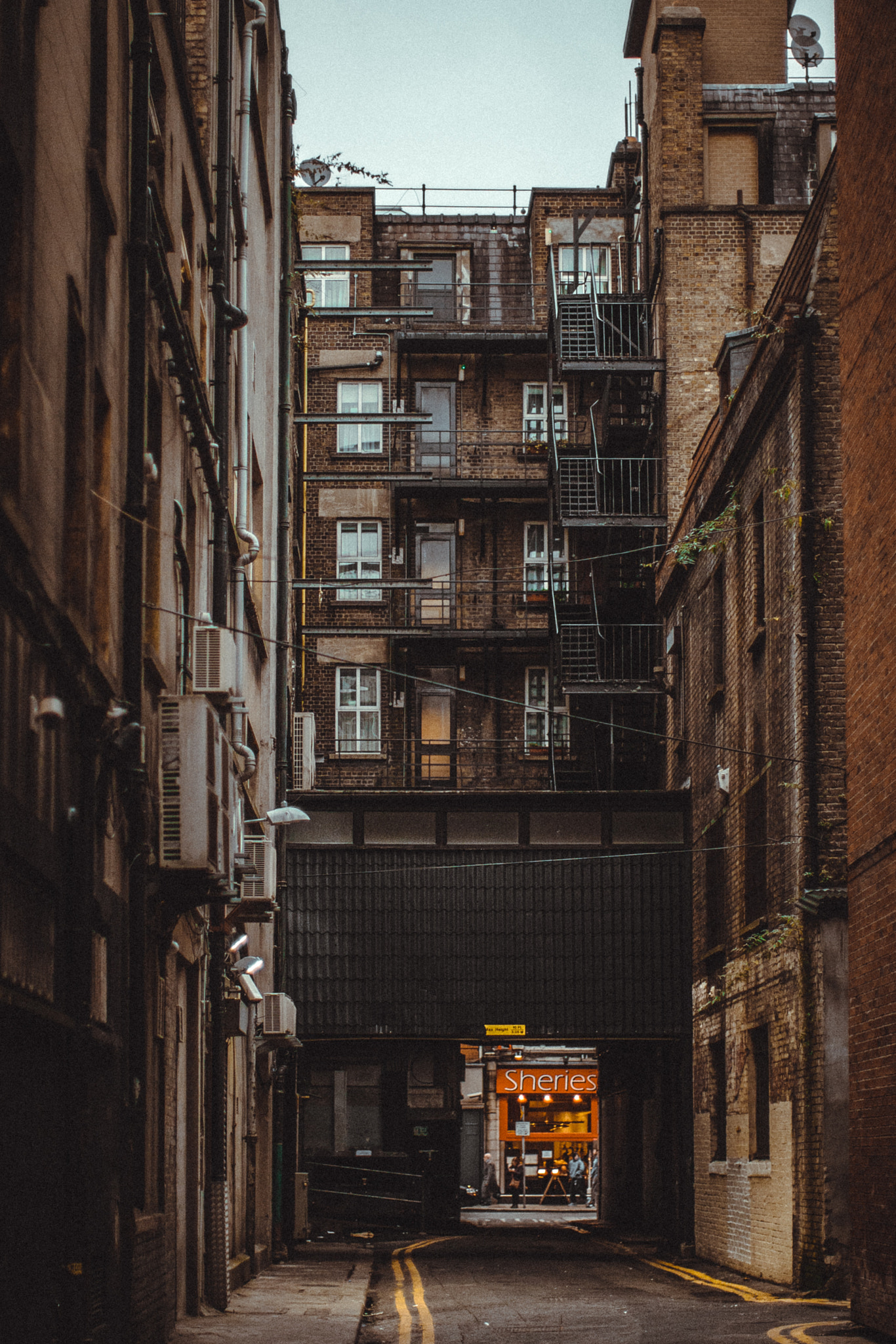 Canon EOS-1D Mark III sample photo. Dublin alley photography