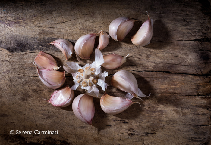 Nikon D800 + AF Nikkor 50mm f/1.8 sample photo. Garlic on old cutting board photography