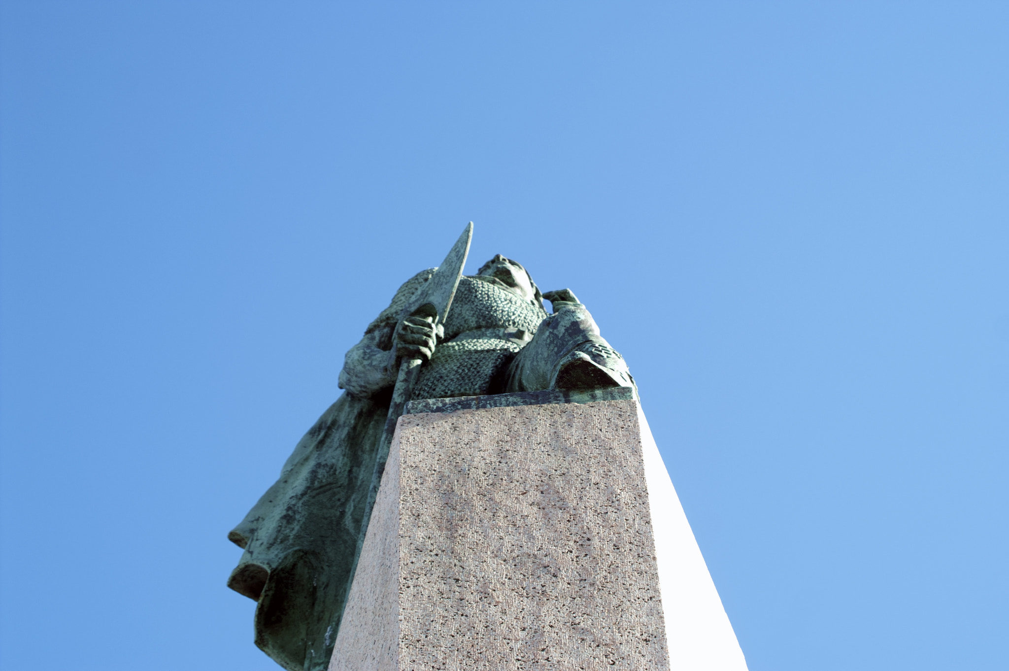 KONICA MINOLTA MAXXUM 5D sample photo. Looking up to leif photography