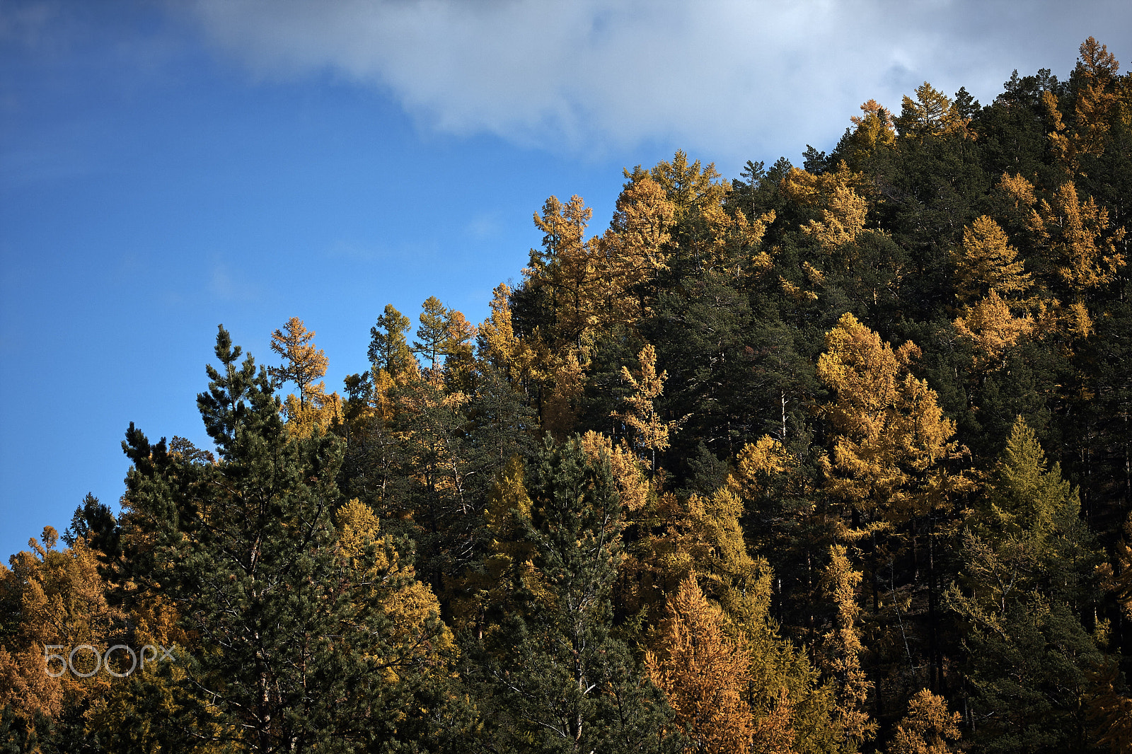 Canon EF 75-300mm f/4-5.6 USM sample photo. Baikal nature photography