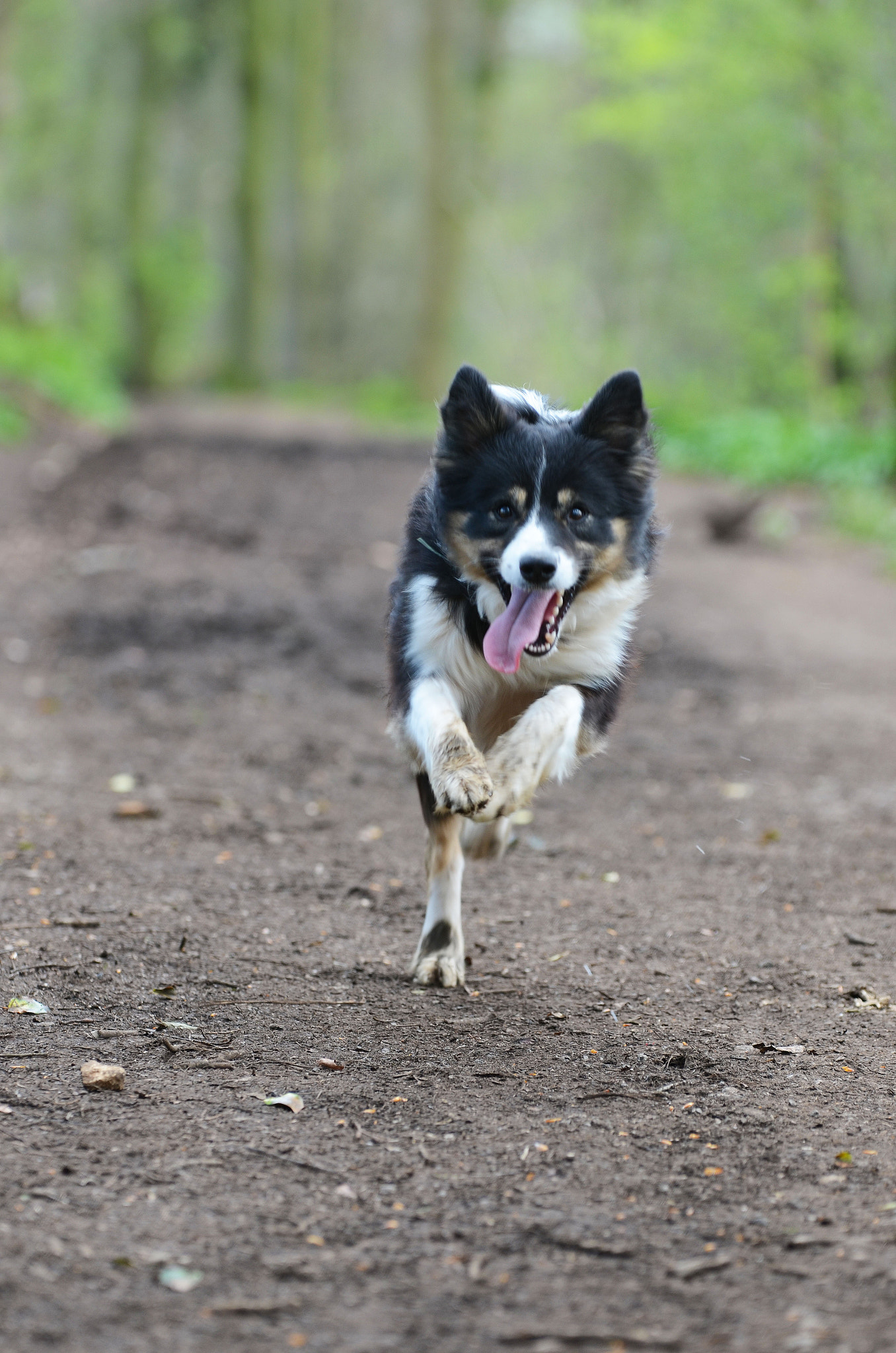 Sigma 70-200mm F2.8 EX DG OS HSM sample photo. Just keep on running.. photography