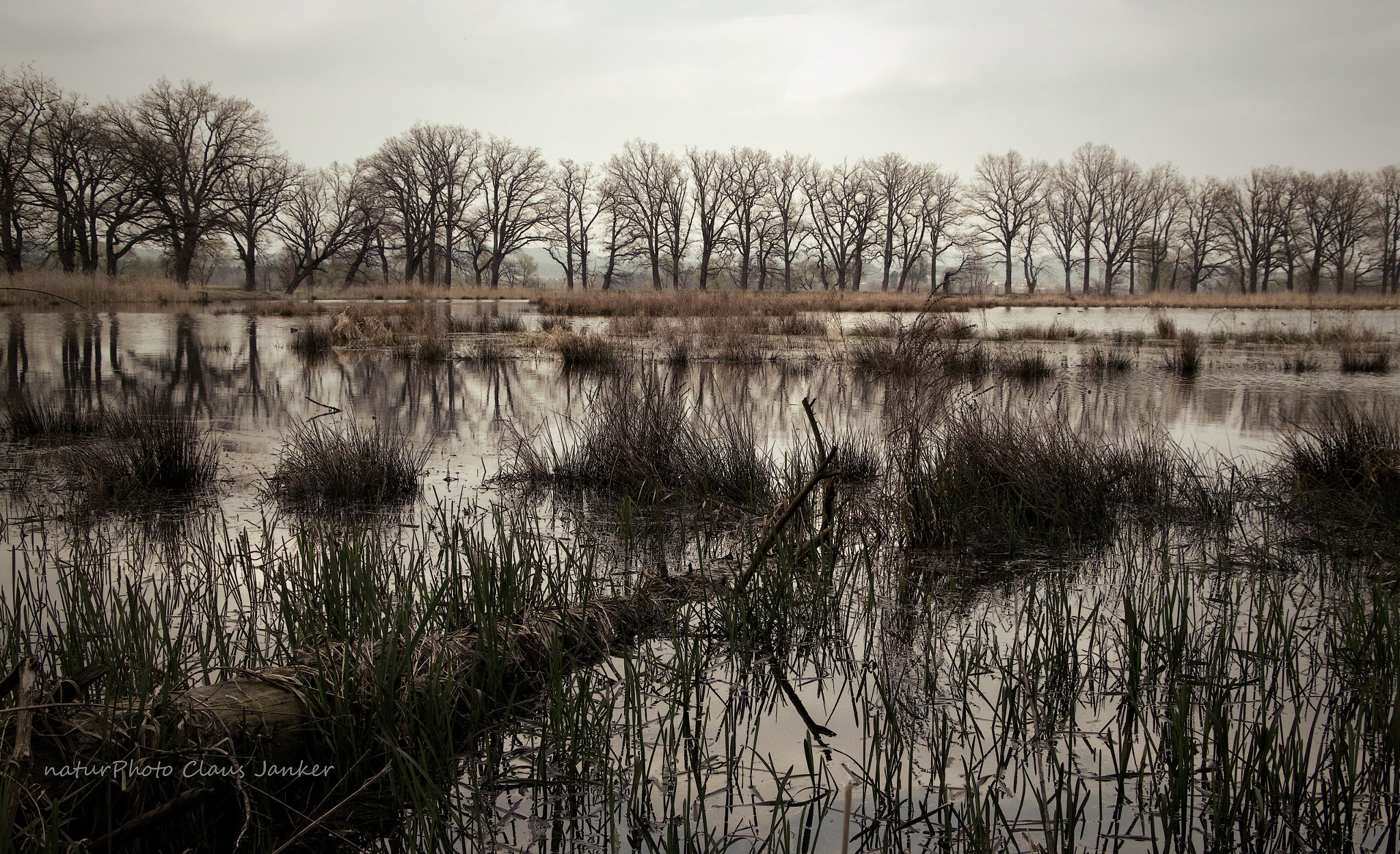 Canon EF-S 18-135mm F3.5-5.6 IS STM sample photo. Naturland photography